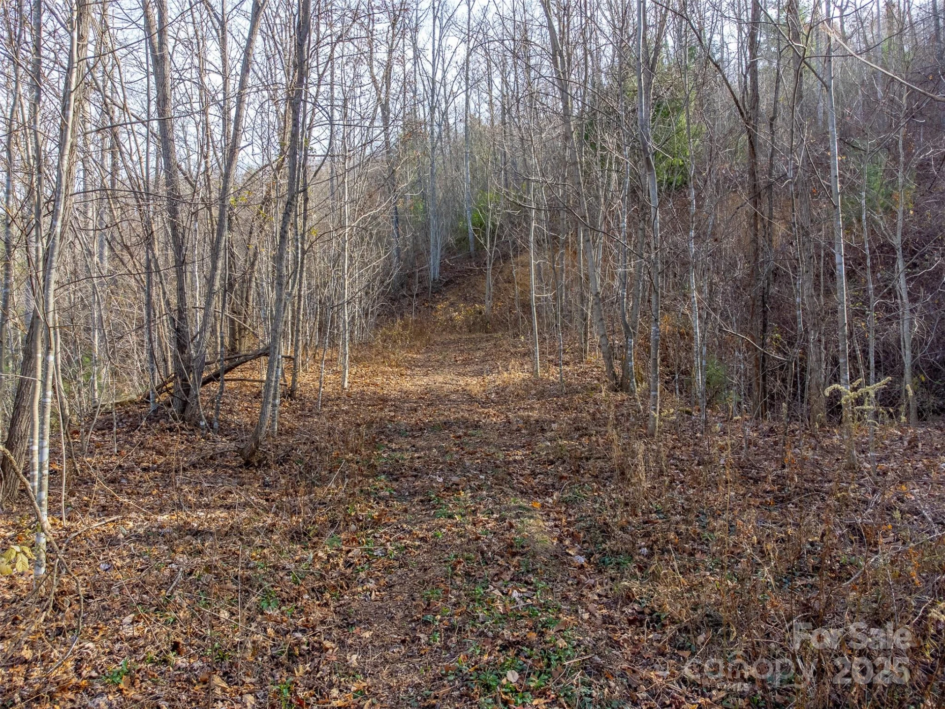 00 Garnet Road - Photo 14