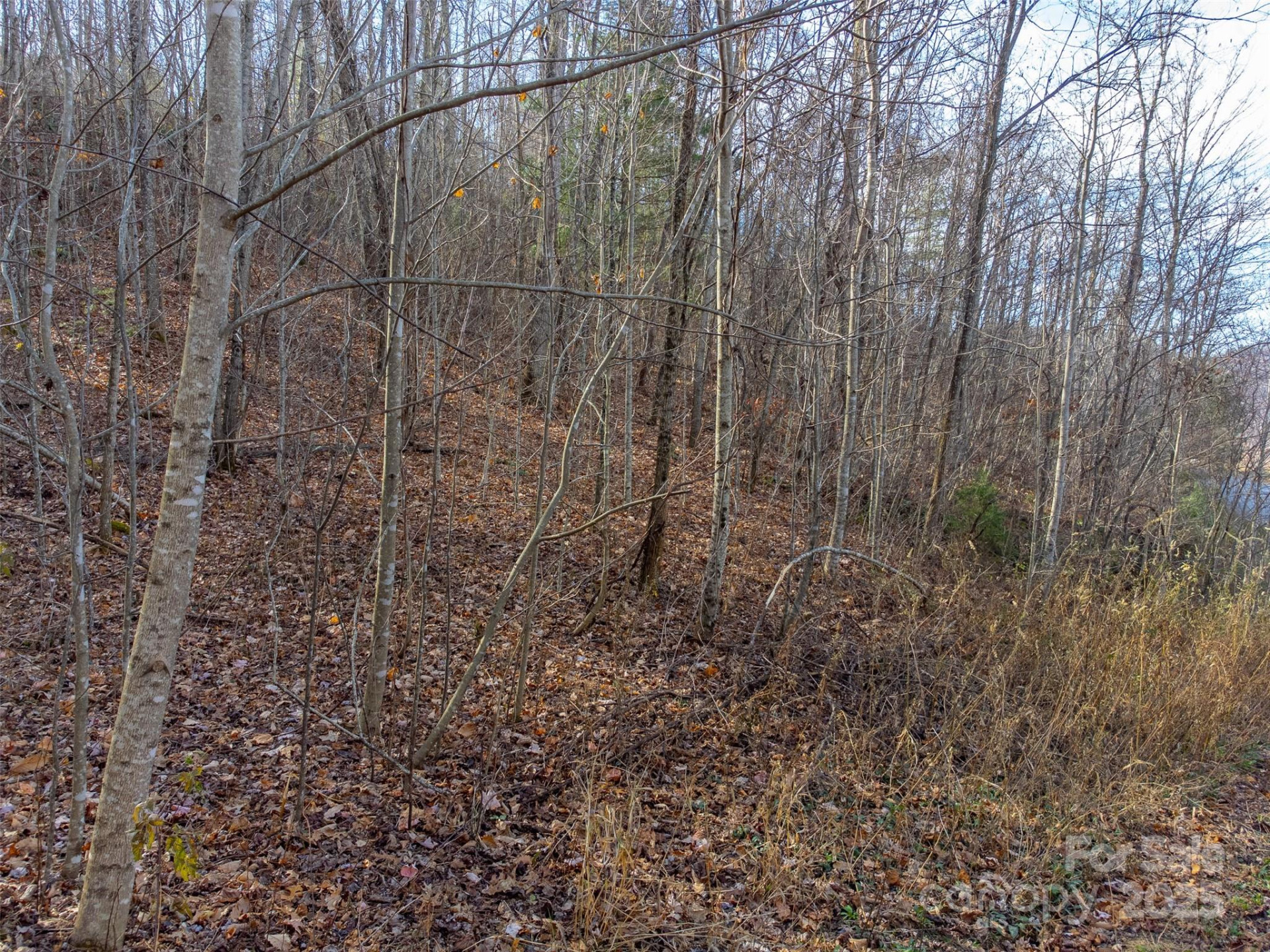 00 Garnet Road - Photo 16