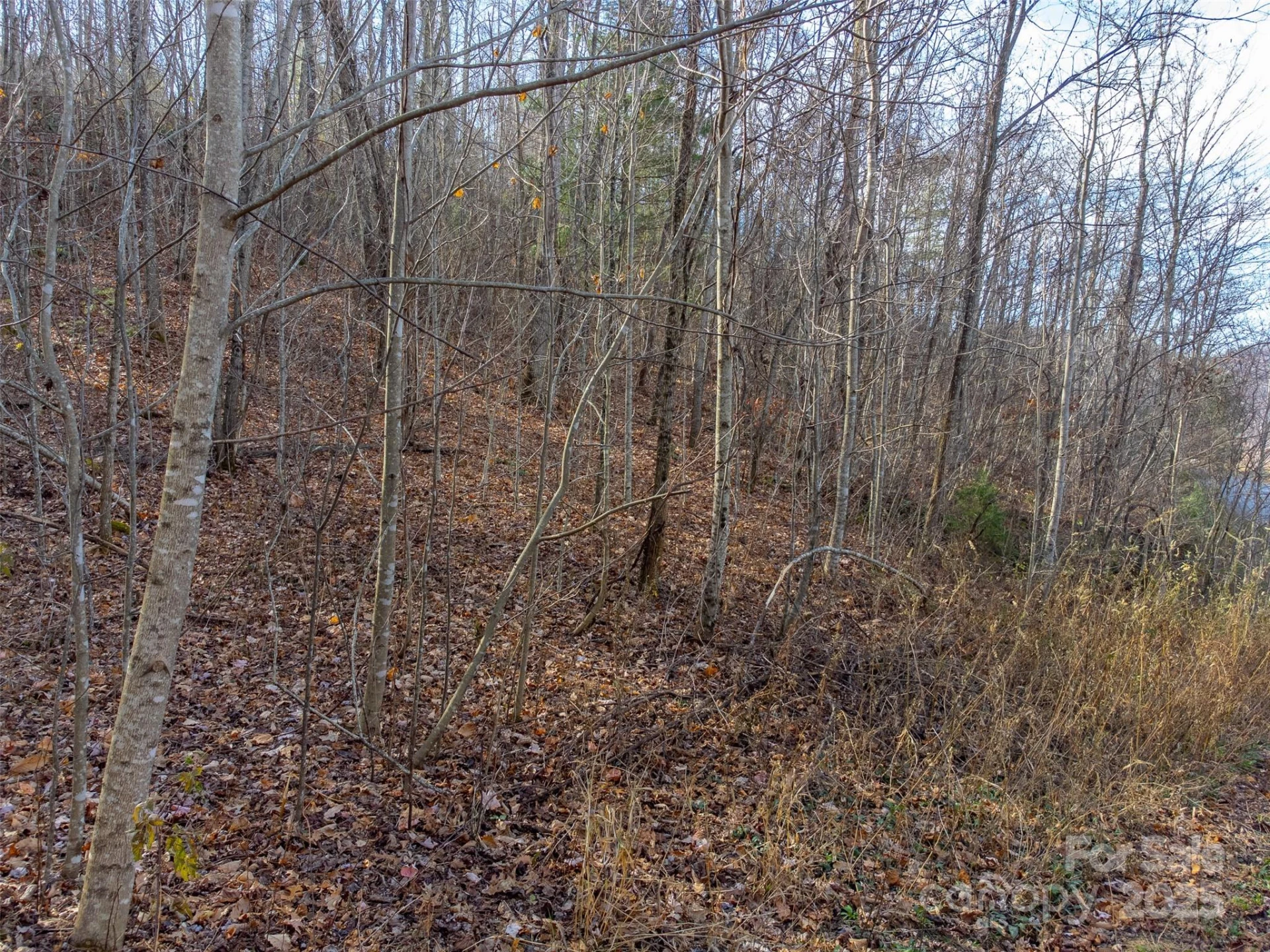 00 Garnet Road - Photo 16