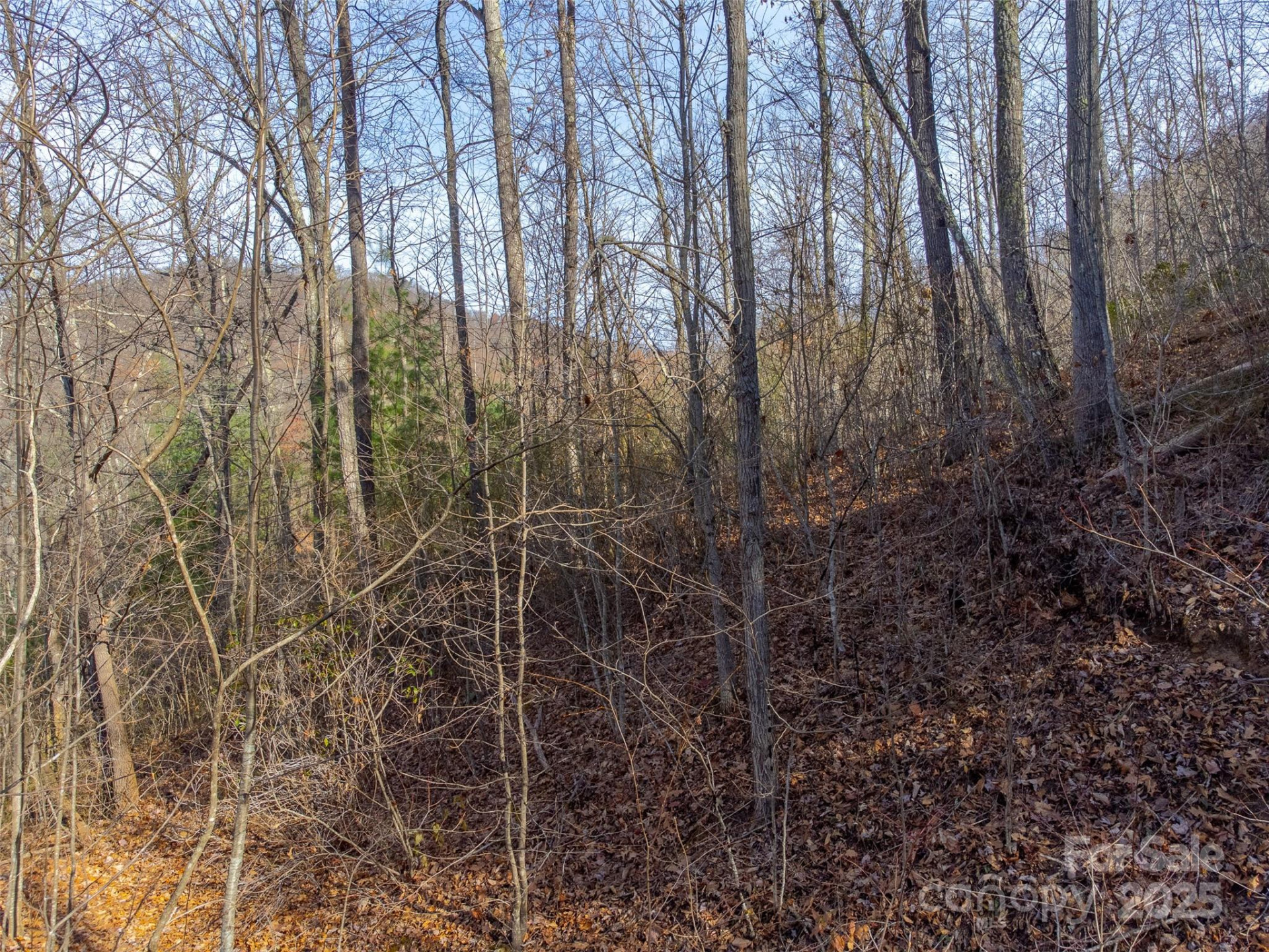 00 Garnet Road - Photo 17