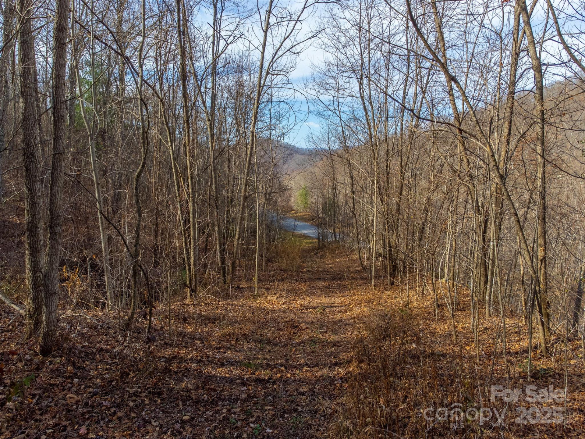 00 Garnet Road - Photo 19