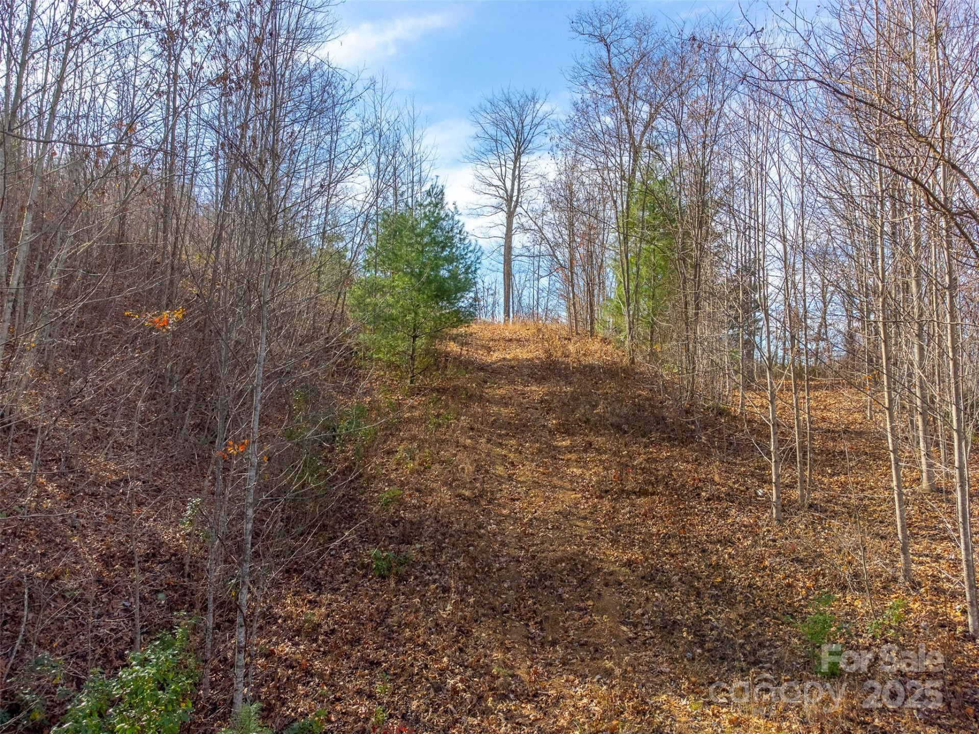 00 Garnet Road - Photo 21