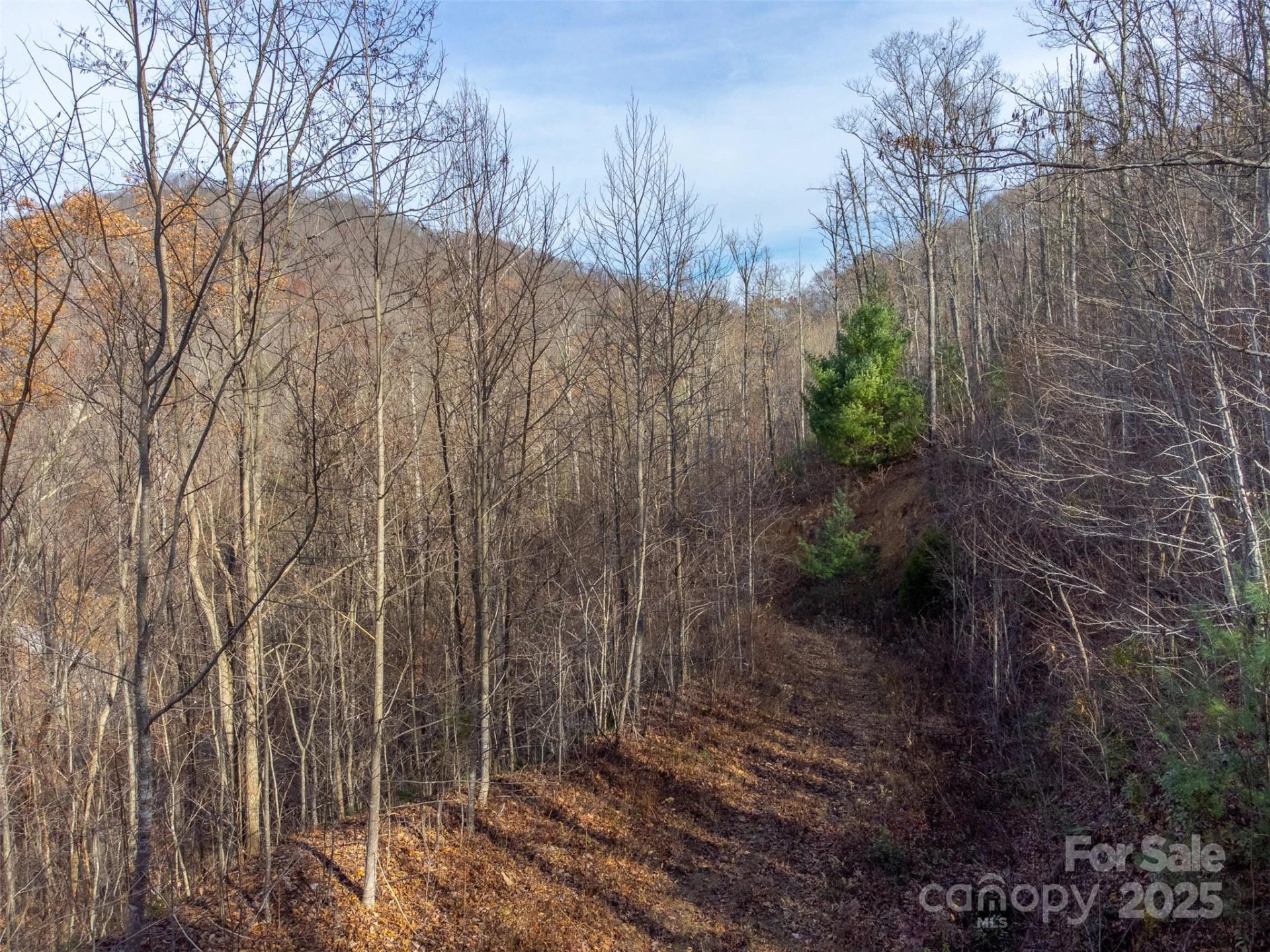 00 Garnet Road - Photo 22