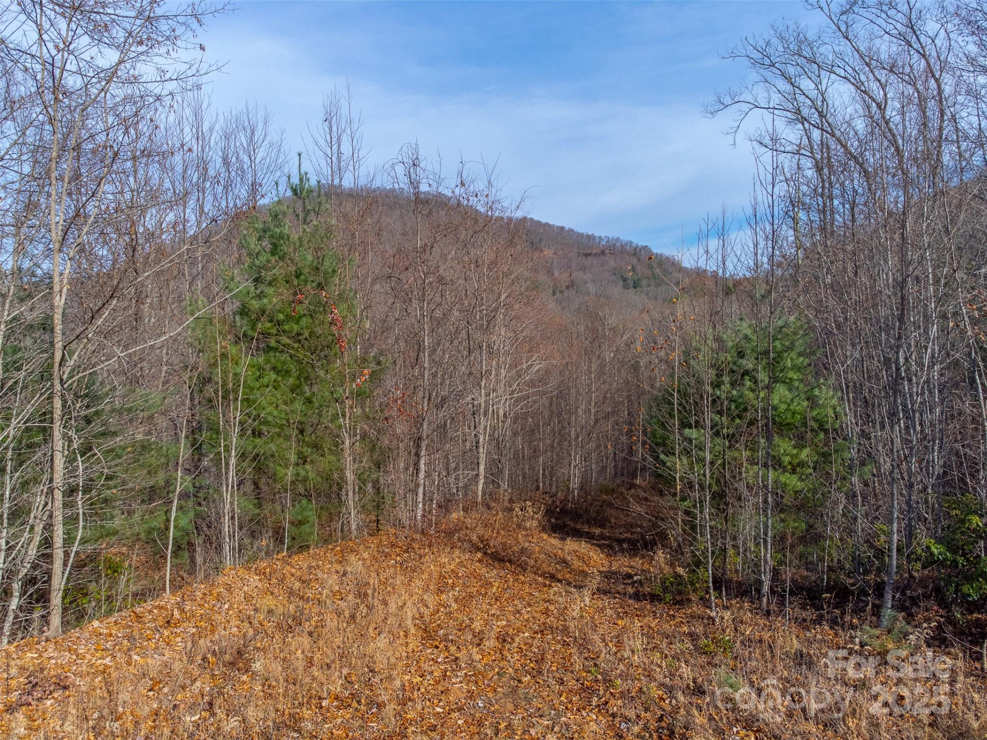 00 Garnet Road - Photo 23