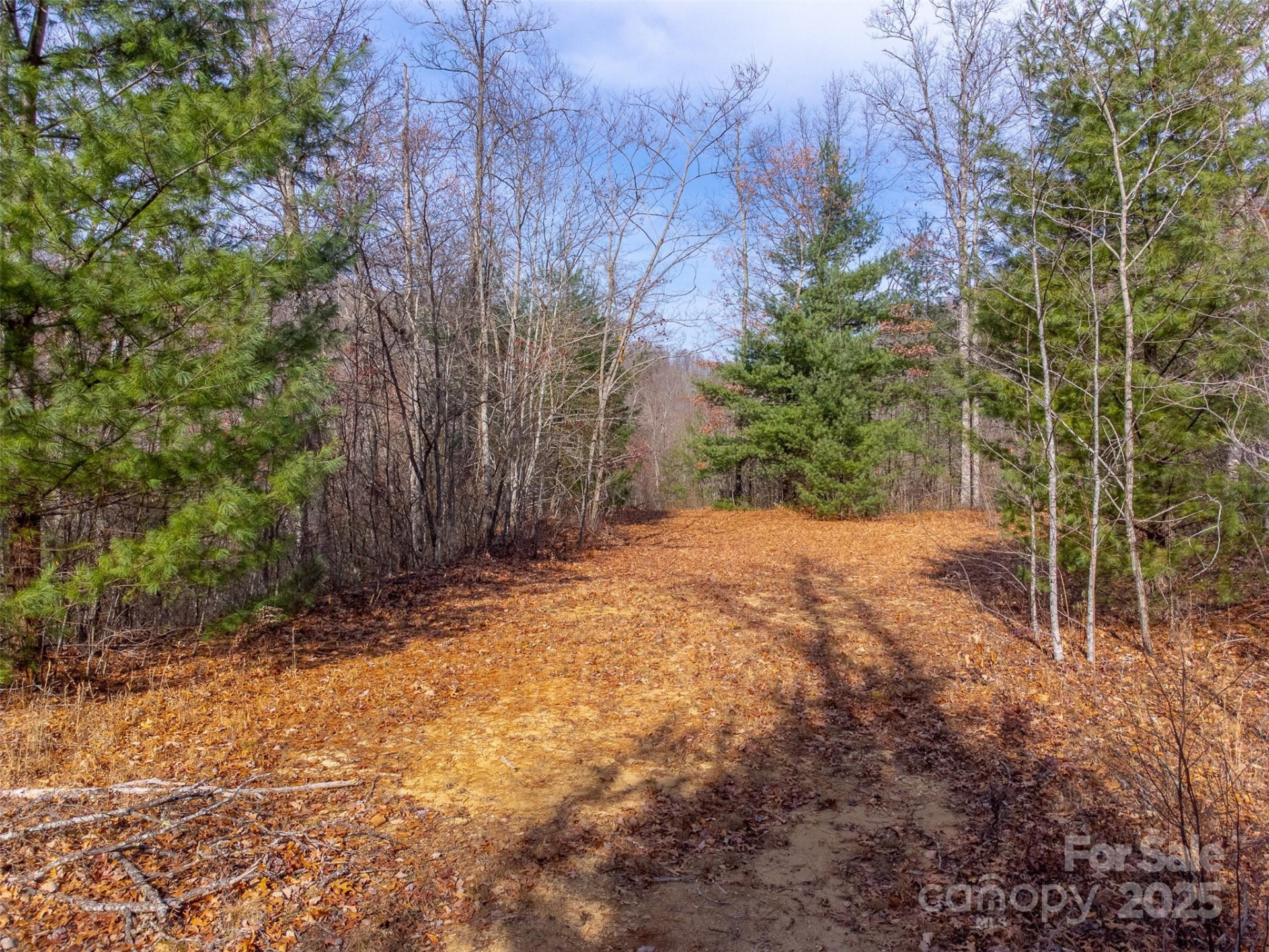 00 Garnet Road - Photo 41