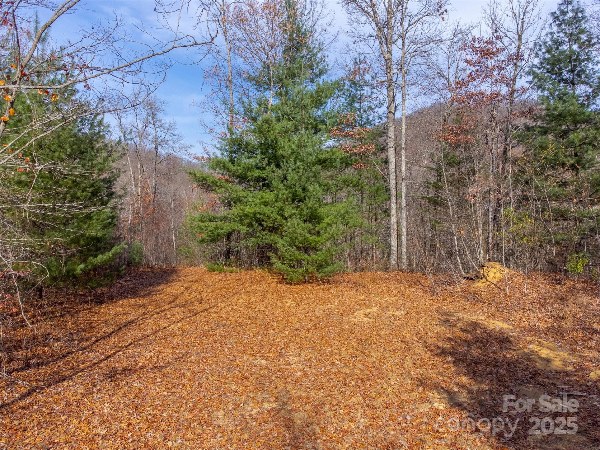 00 Garnet Road - Photo 42