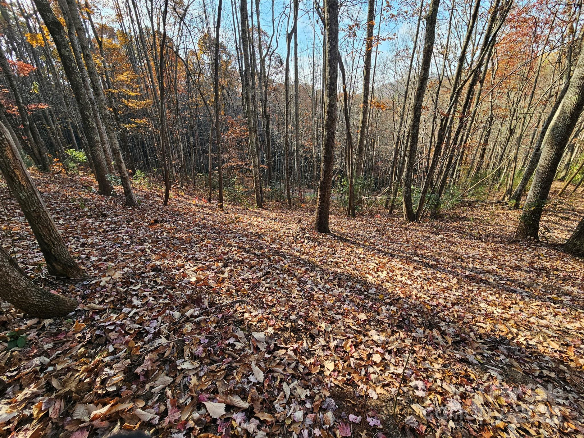 9999-12 Bob Barnwell Road - Photo 3