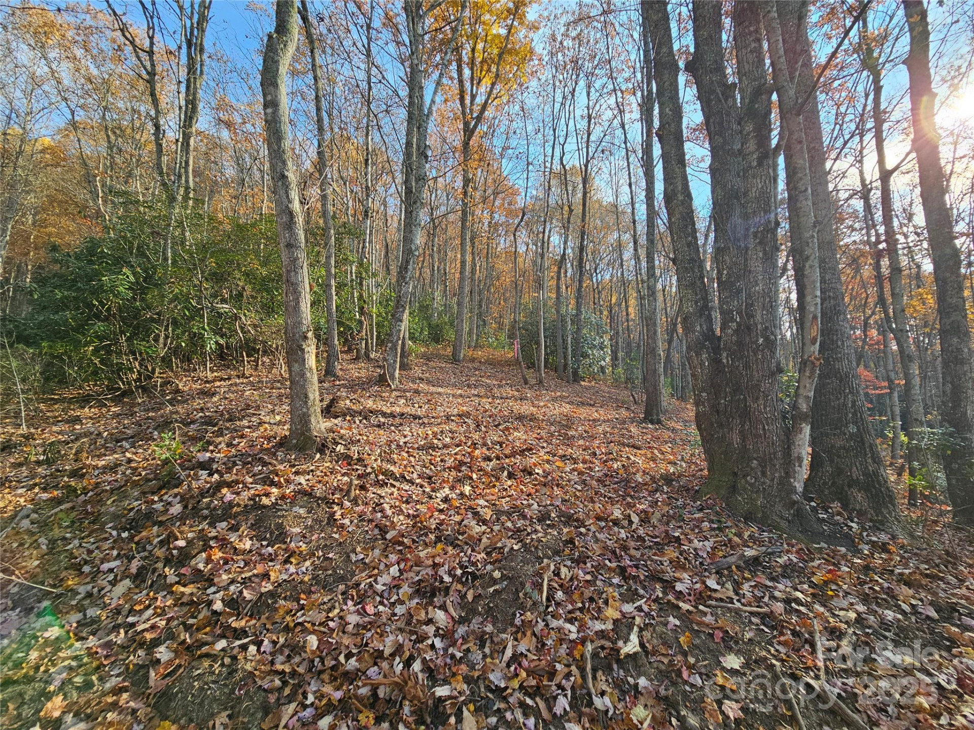 9999-12 Bob Barnwell Road - Photo 4