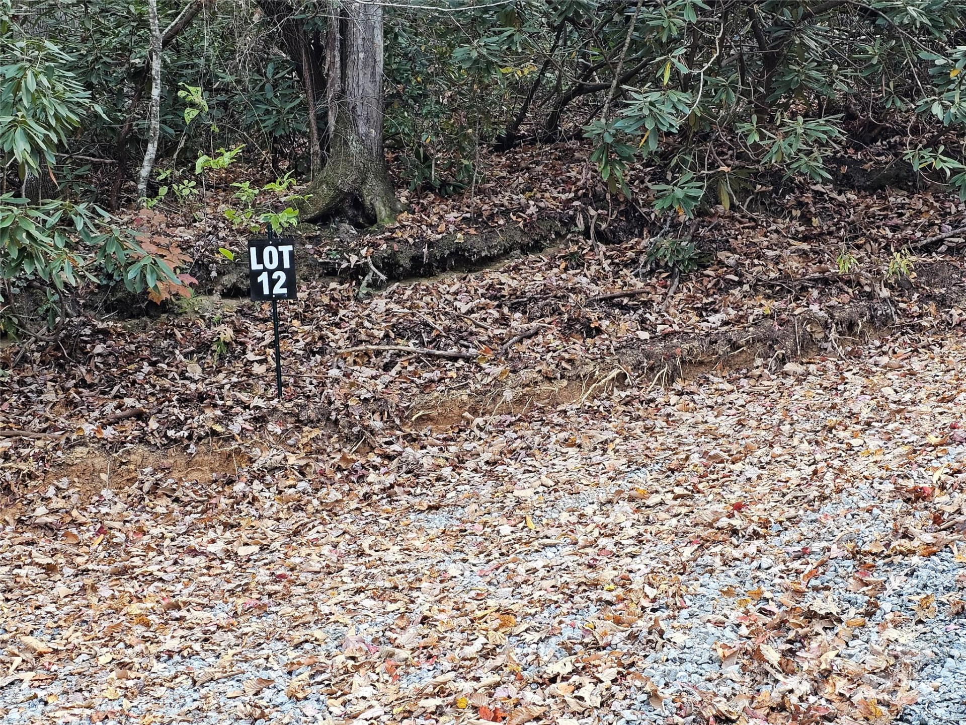 9999-12 Bob Barnwell Road - Photo 5