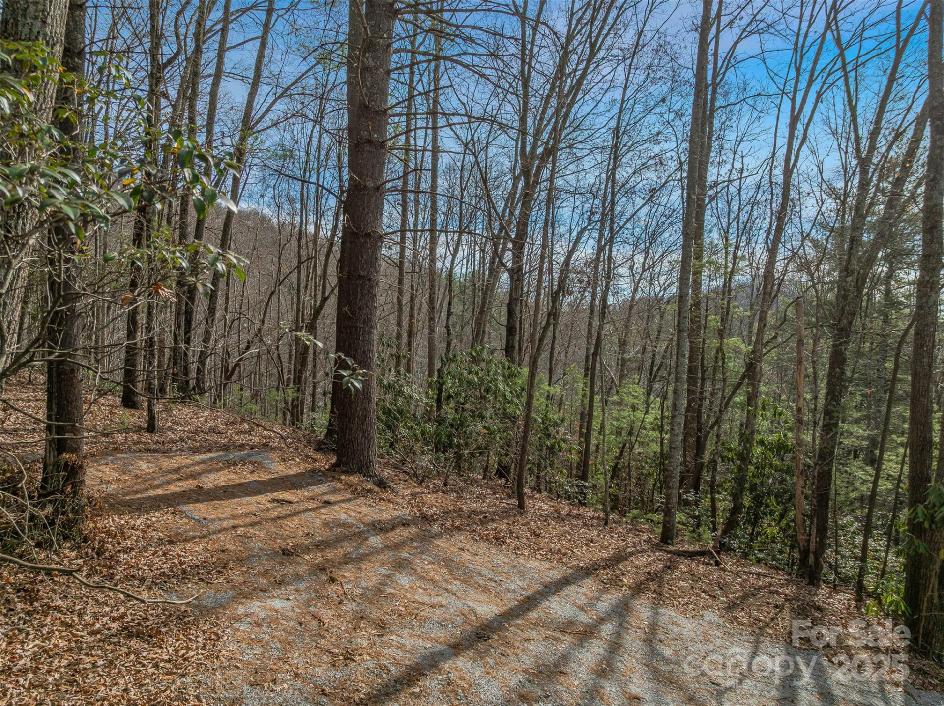 9999-13 Bob Barnwell Road - Photo 12