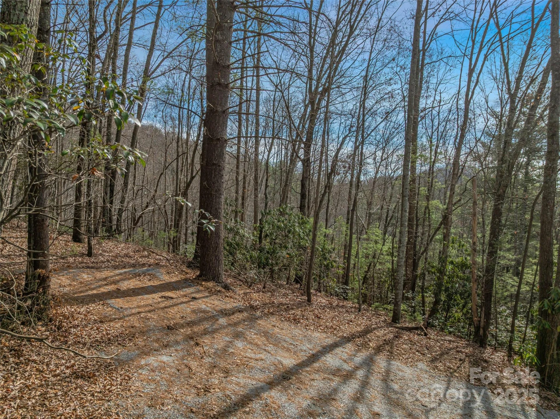 9999-13 Bob Barnwell Road - Photo 12