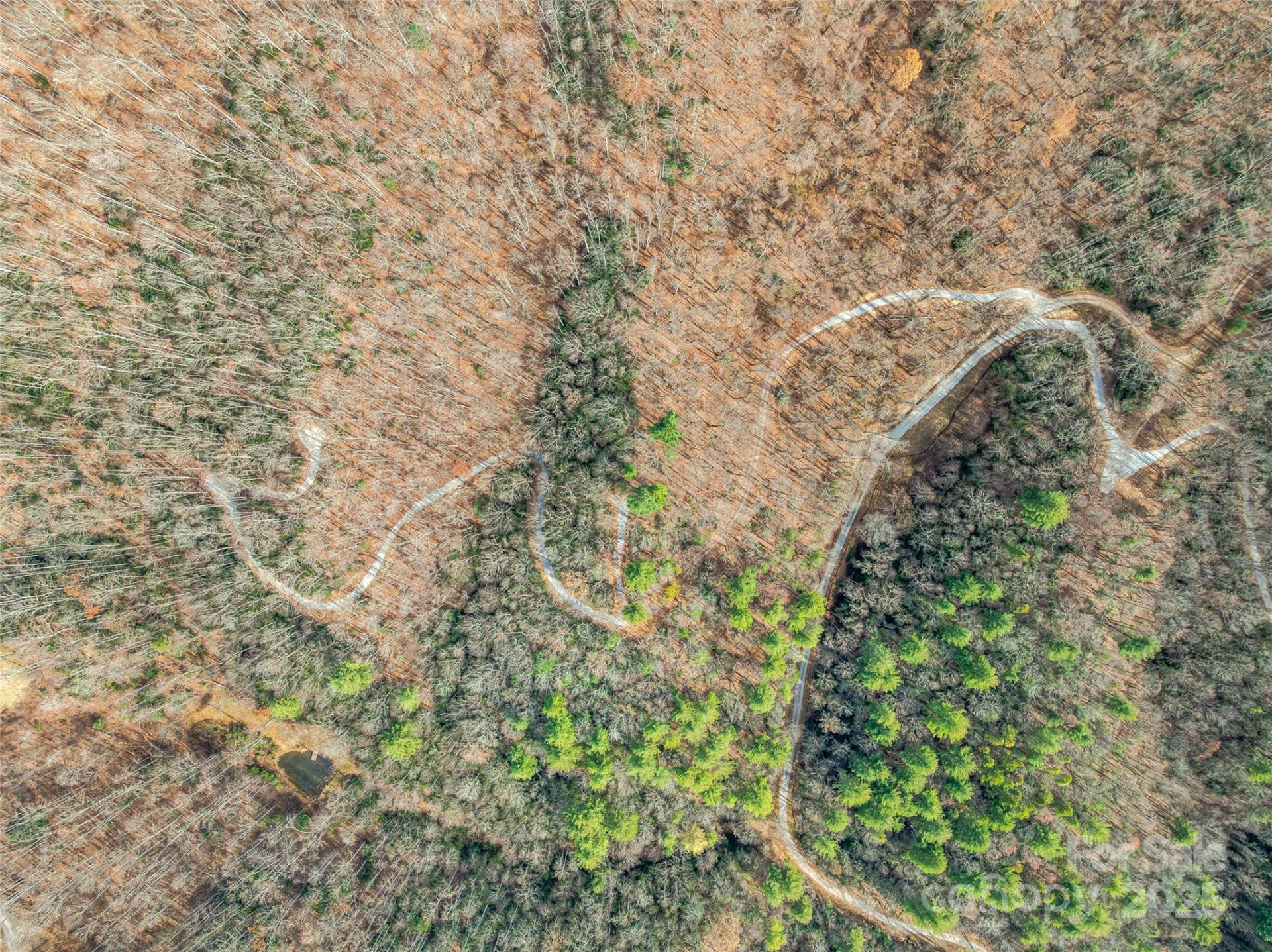 9999-13 Bob Barnwell Road - Photo 17