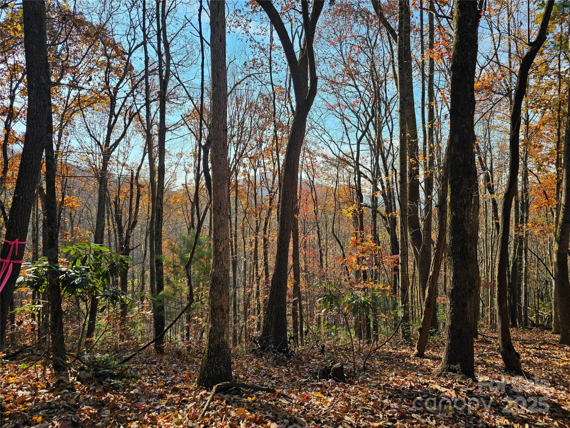 9999-13 Bob Barnwell Road - Photo 3