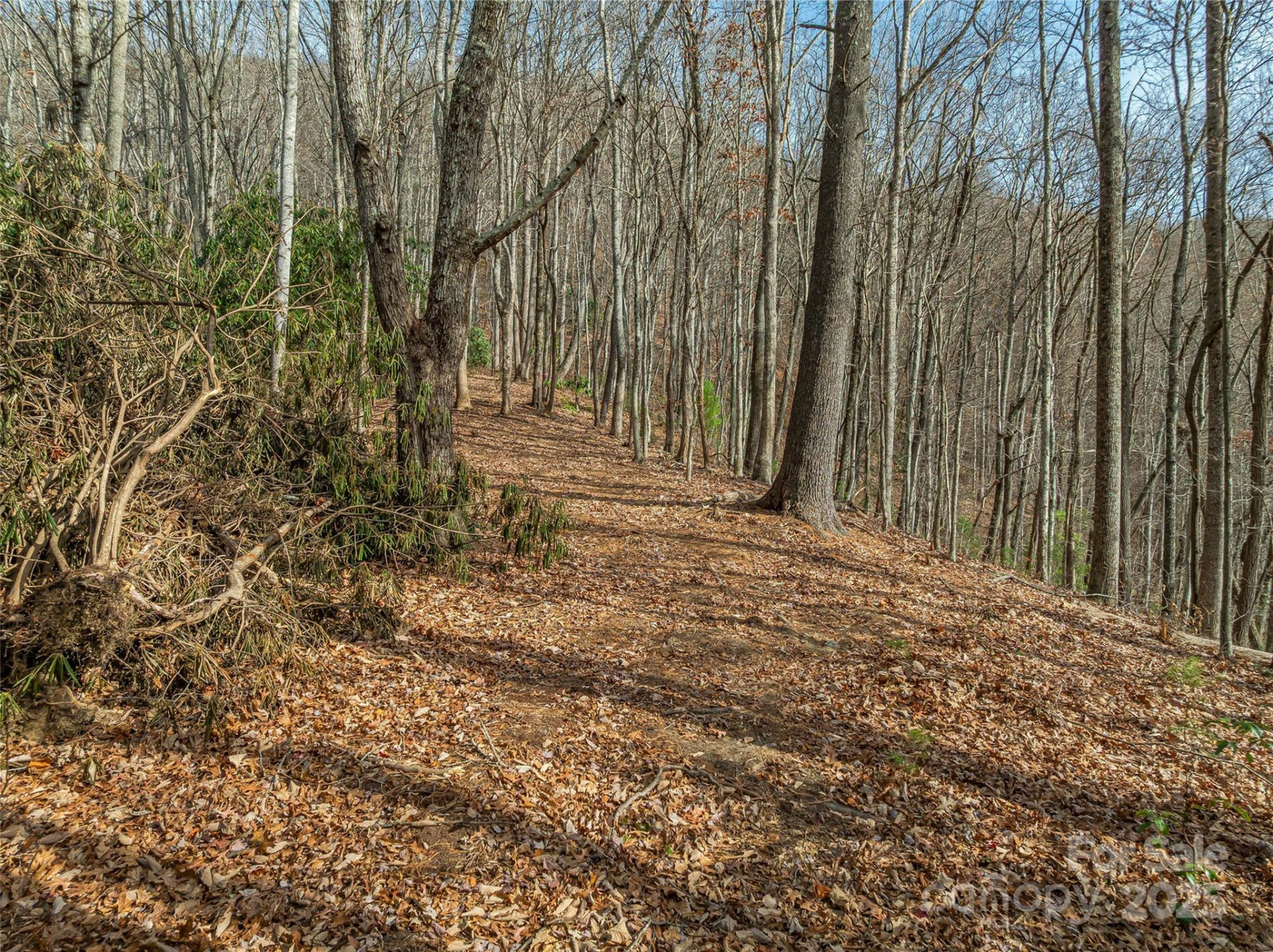 9999-13 Bob Barnwell Road - Photo 21