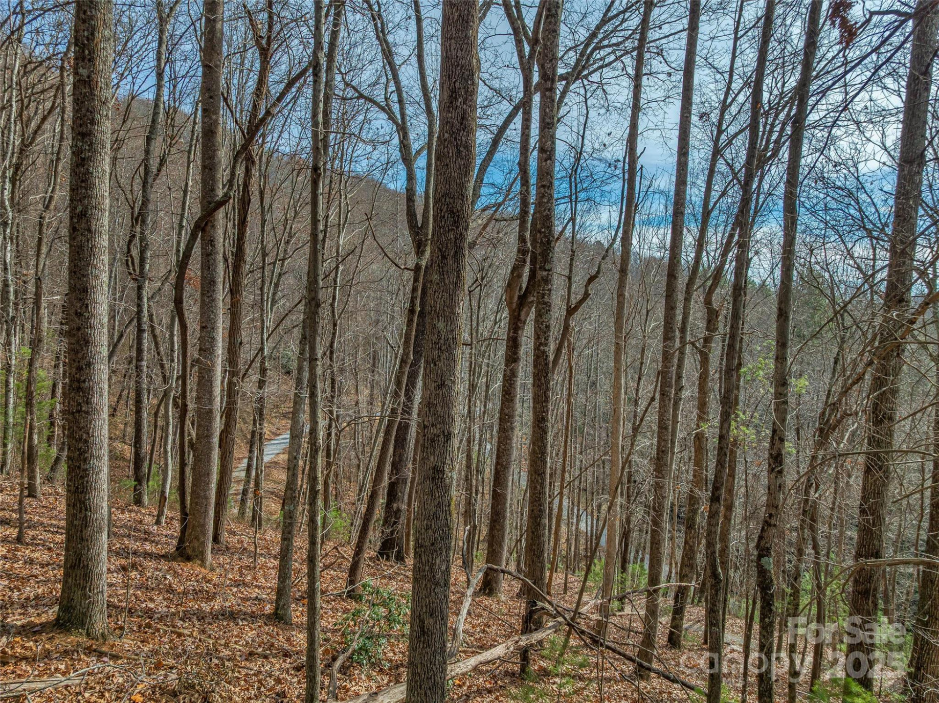 9999-13 Bob Barnwell Road - Photo 22