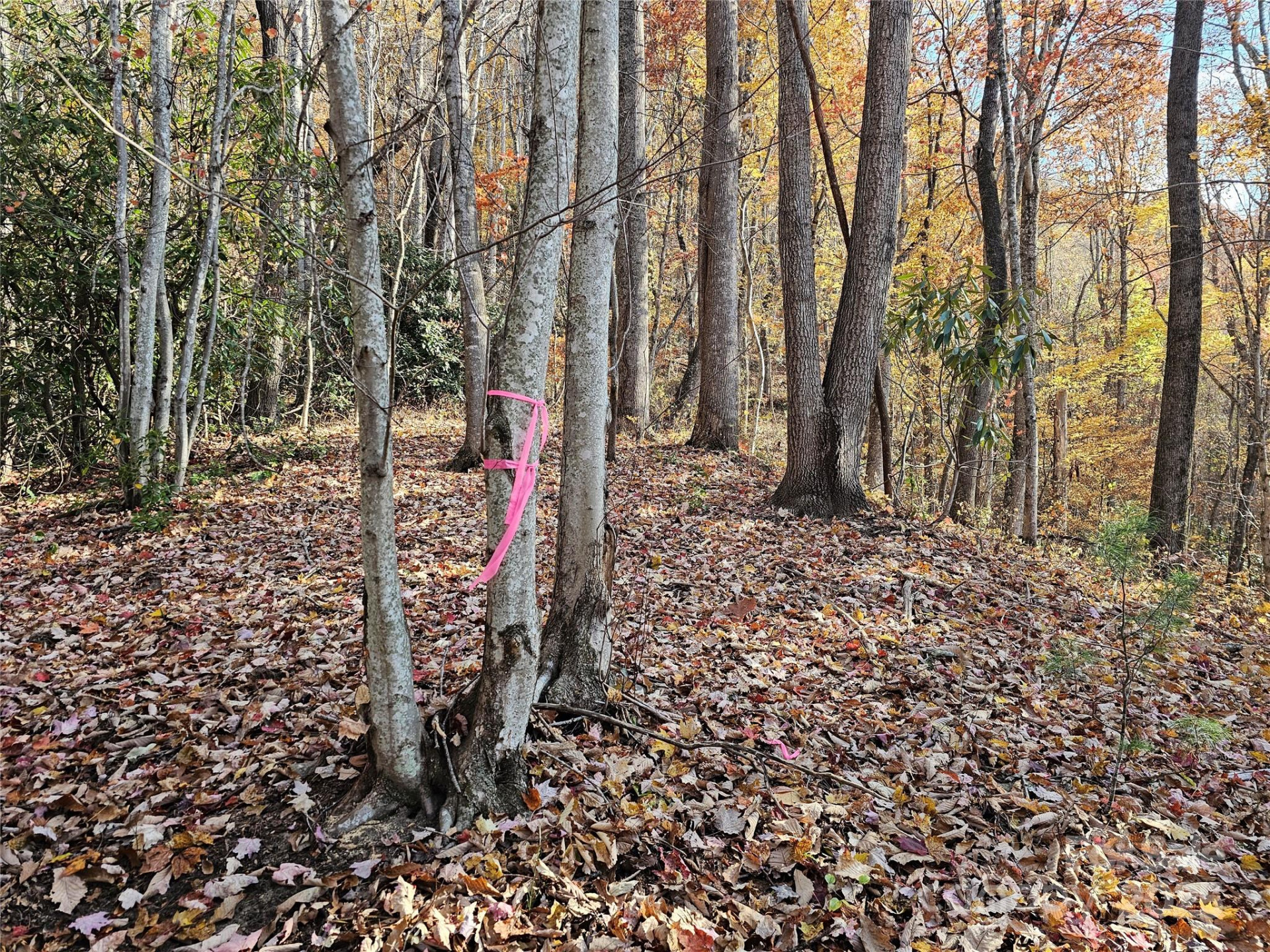 9999-13 Bob Barnwell Road - Photo 5