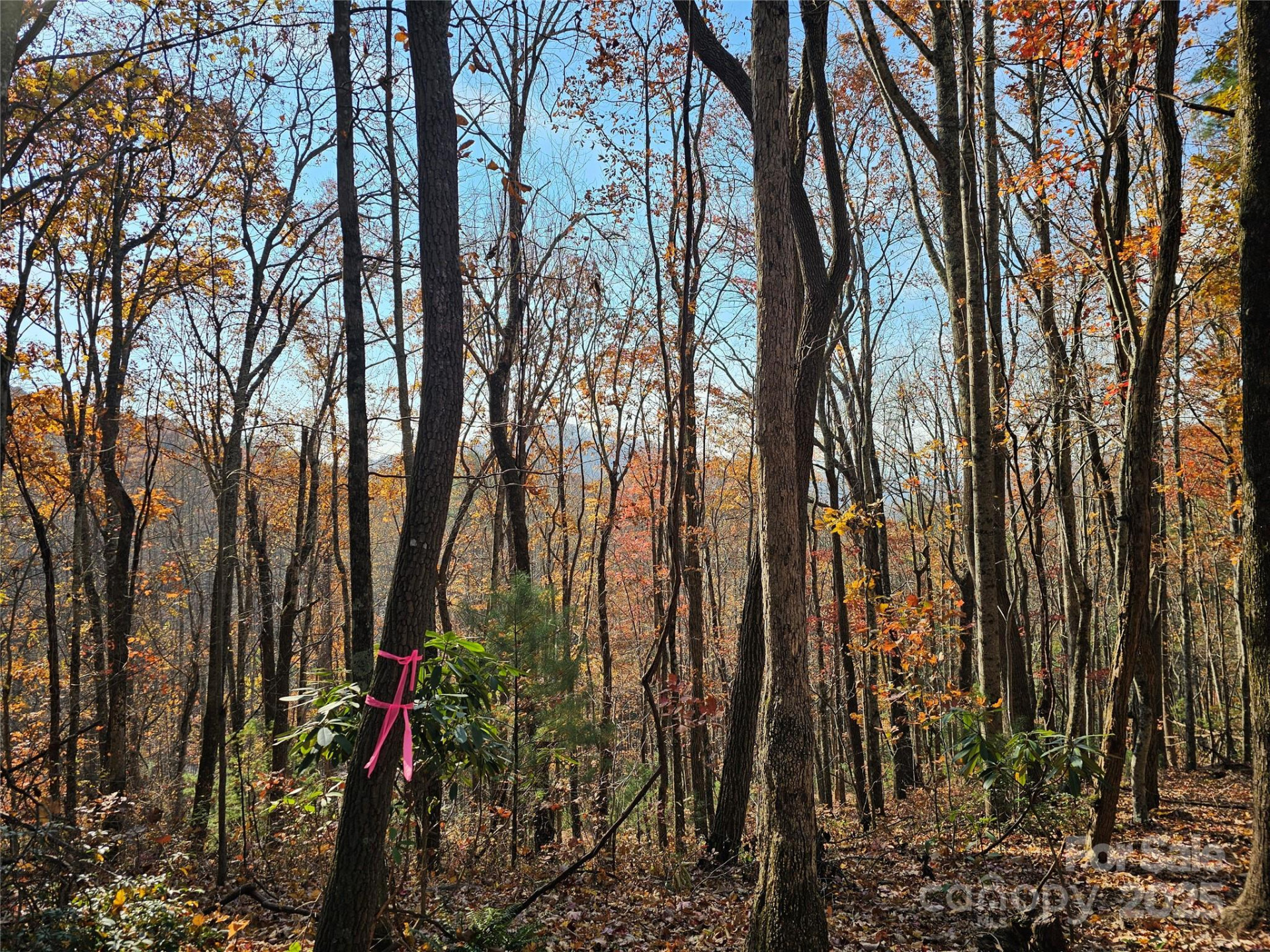 9999-13 Bob Barnwell Road - Photo 6