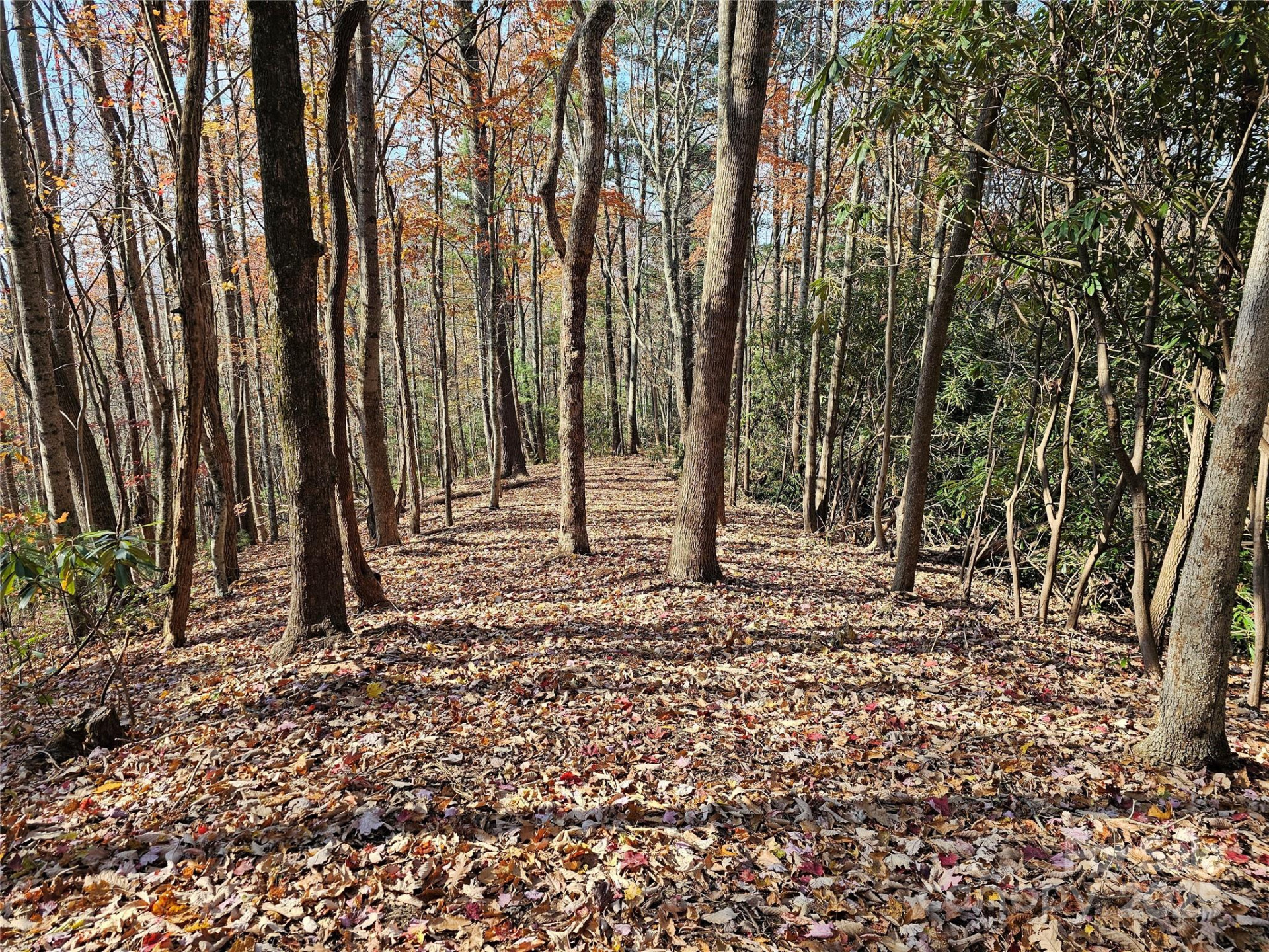 9999-13 Bob Barnwell Road - Photo 7