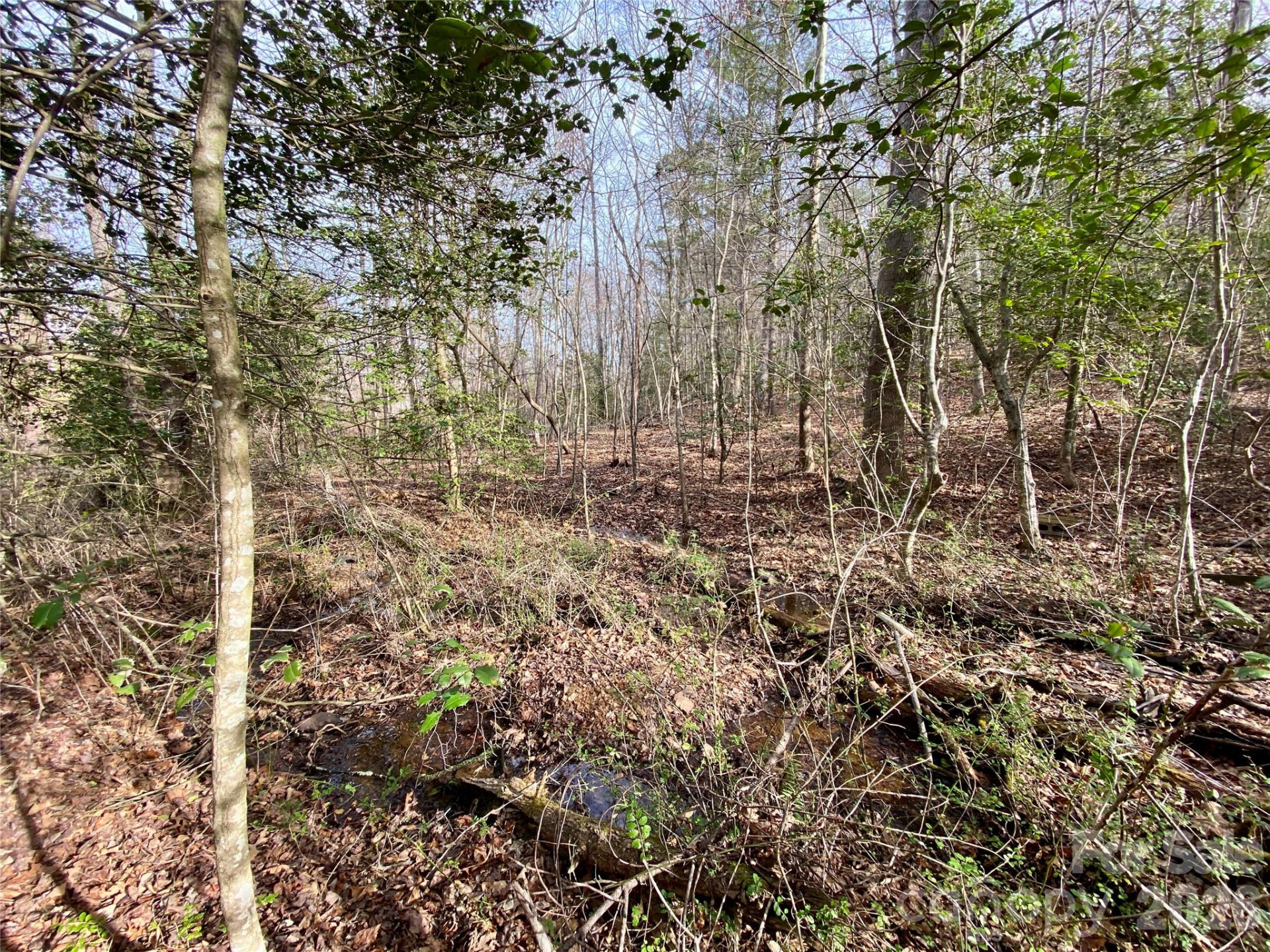 99999 Willow Creek Drive #2 - Photo 11