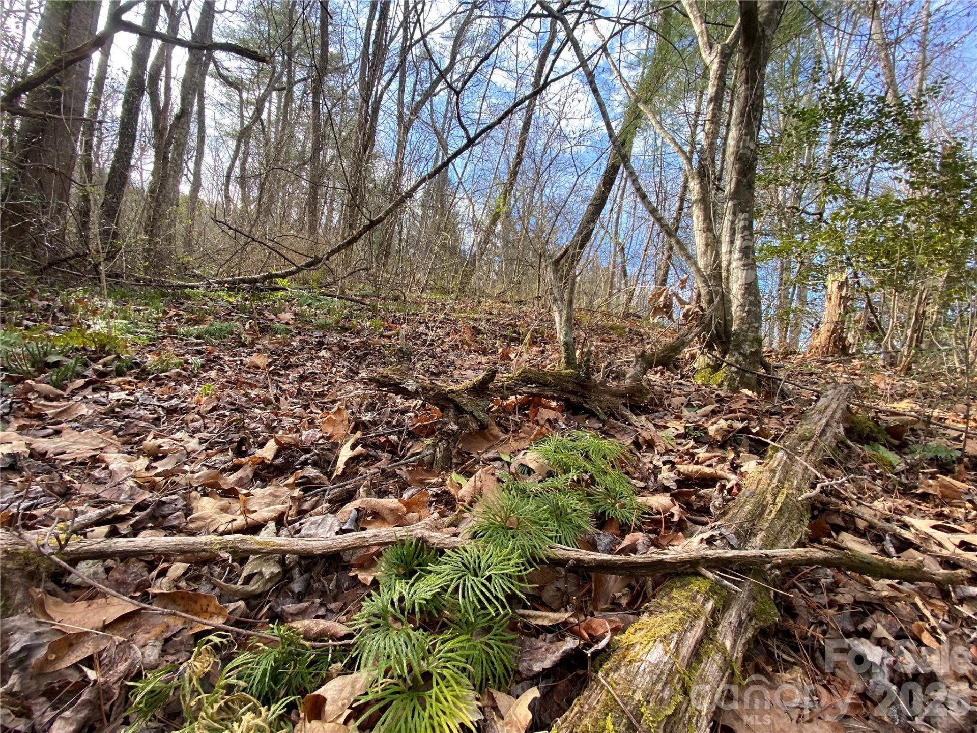 99999 Willow Creek Drive #2 - Photo 12