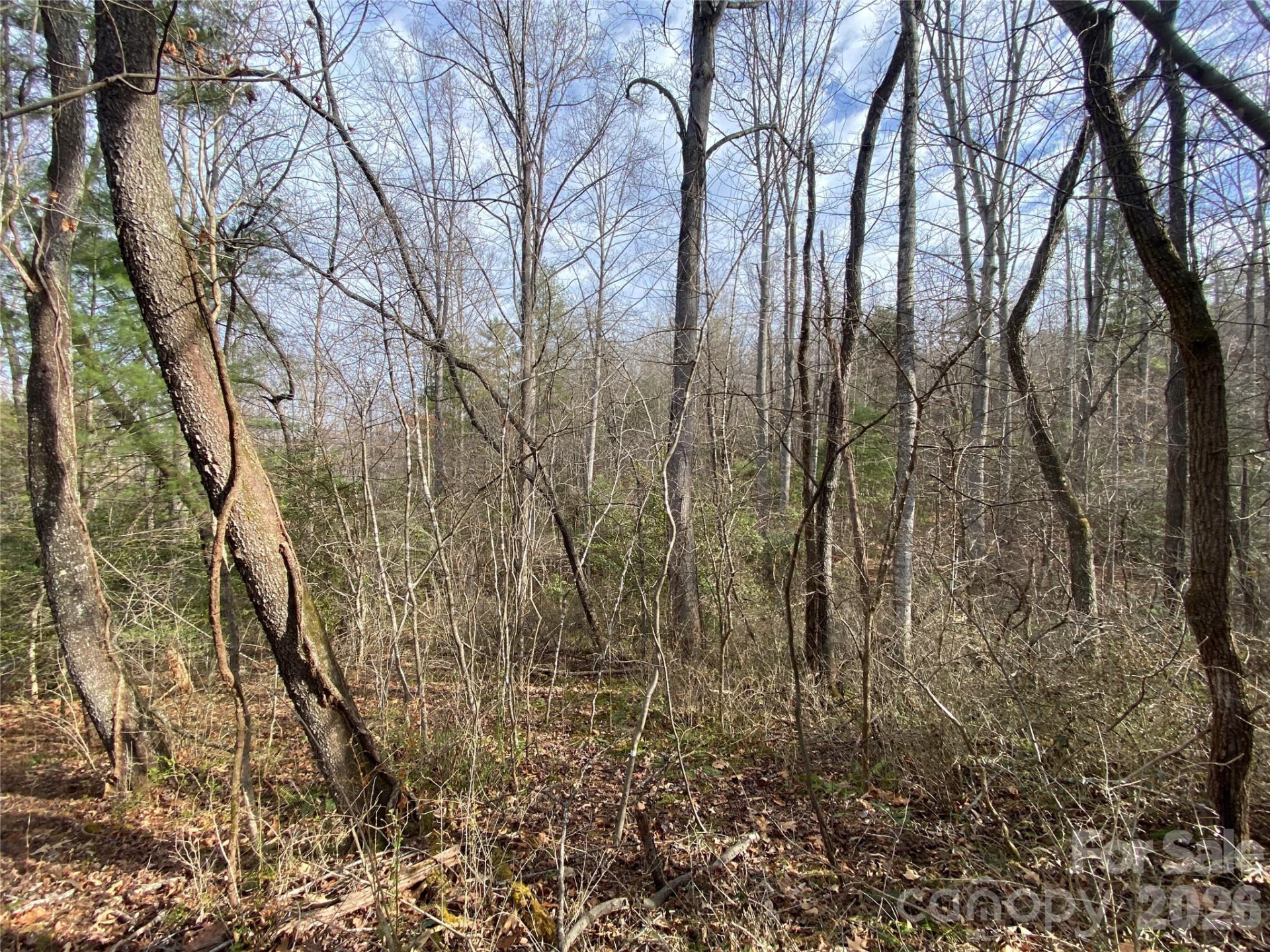 99999 Willow Creek Drive #2 - Photo 13