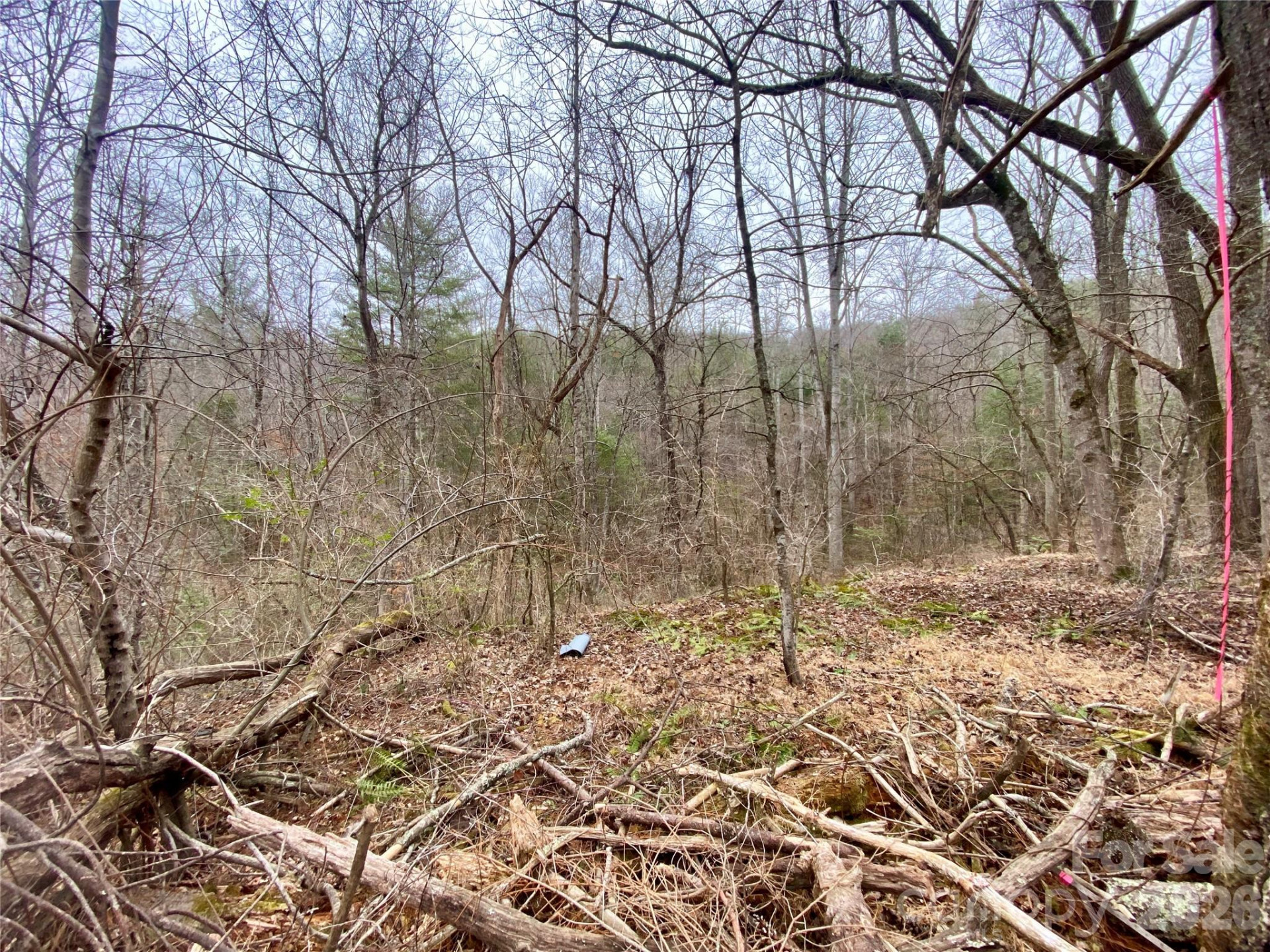 99999 Willow Creek Drive #2 - Photo 16