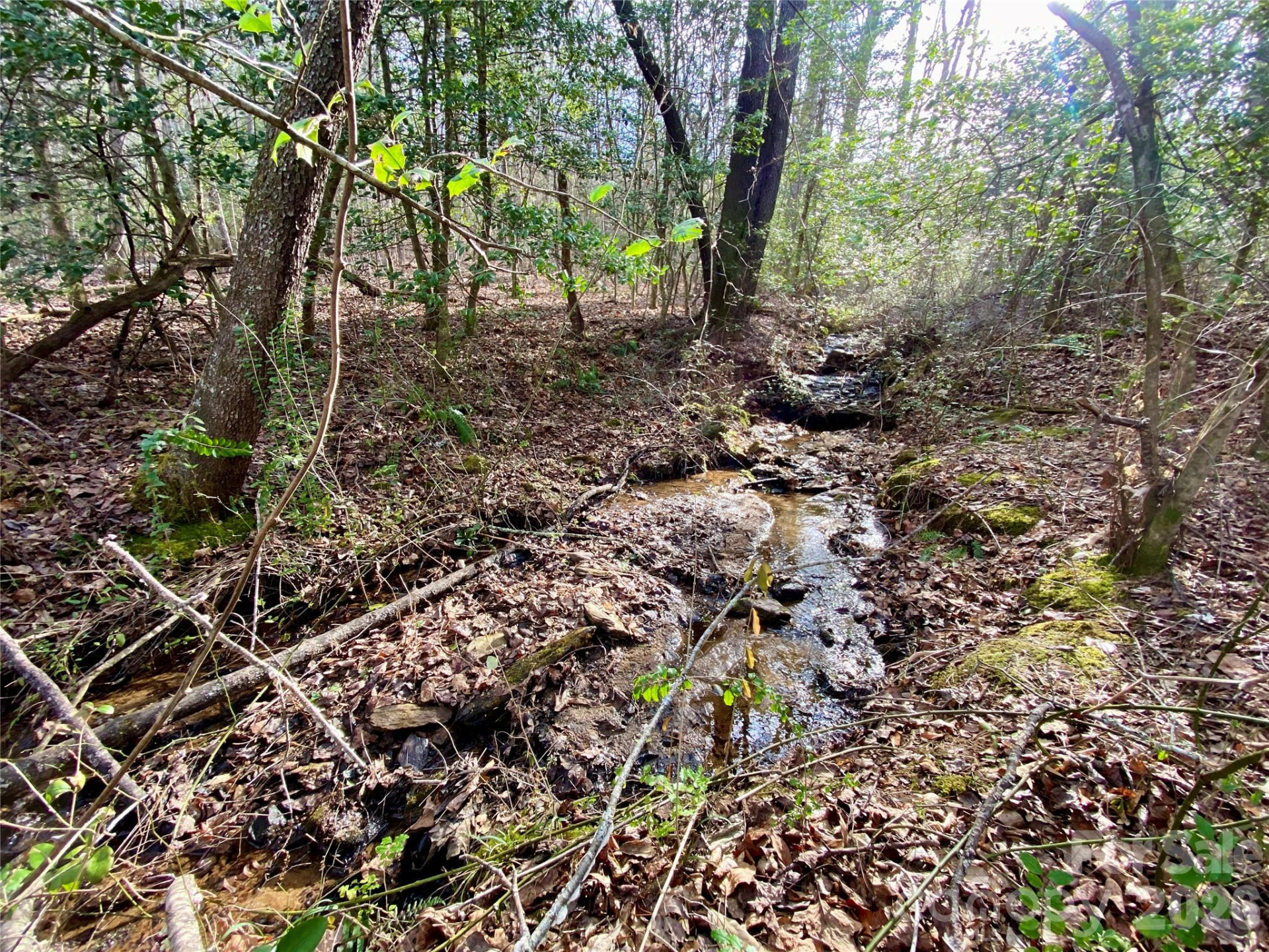 99999 Willow Creek Drive #2 - Photo 6