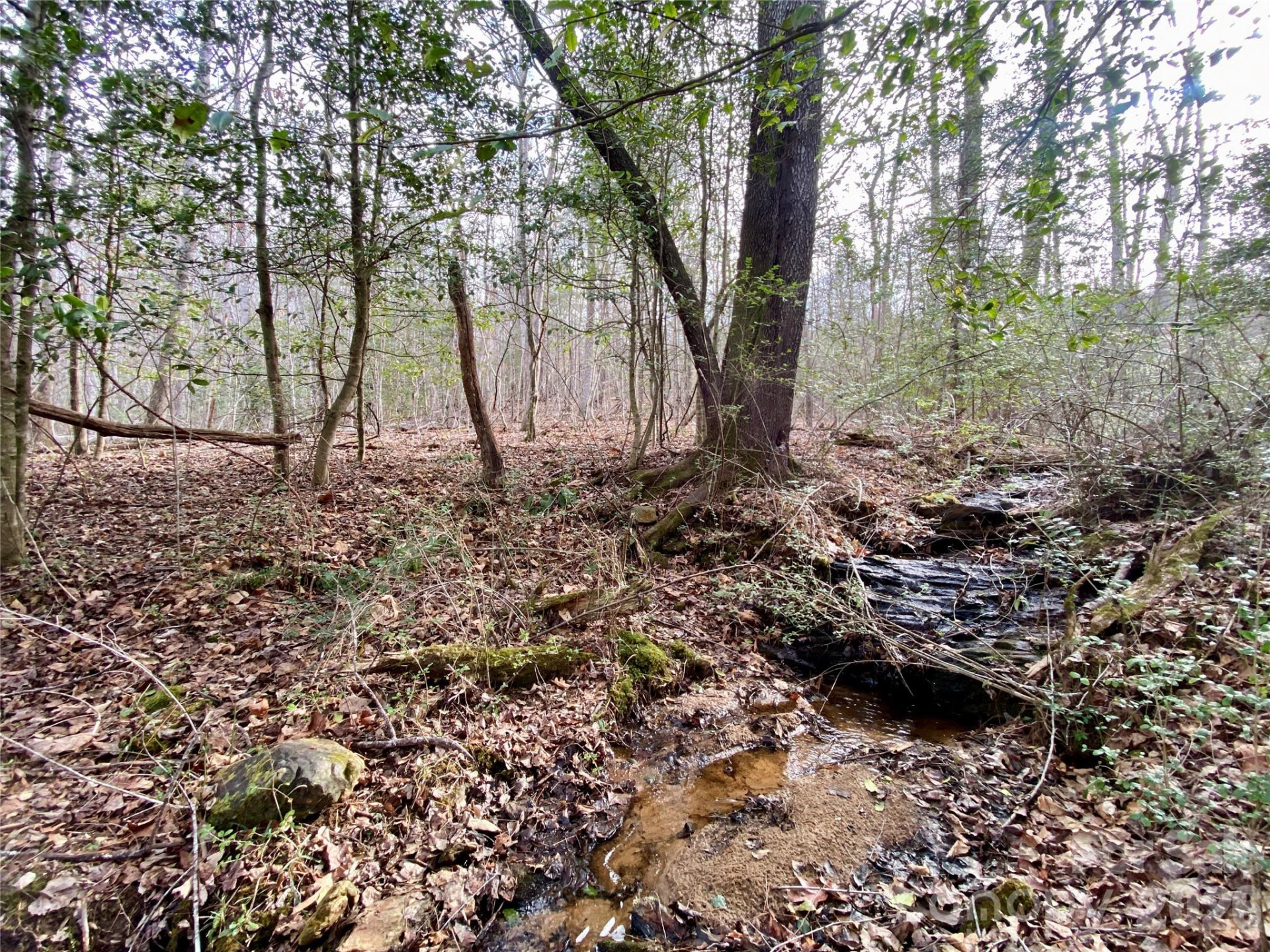 99999 Willow Creek Drive #2 - Photo 7