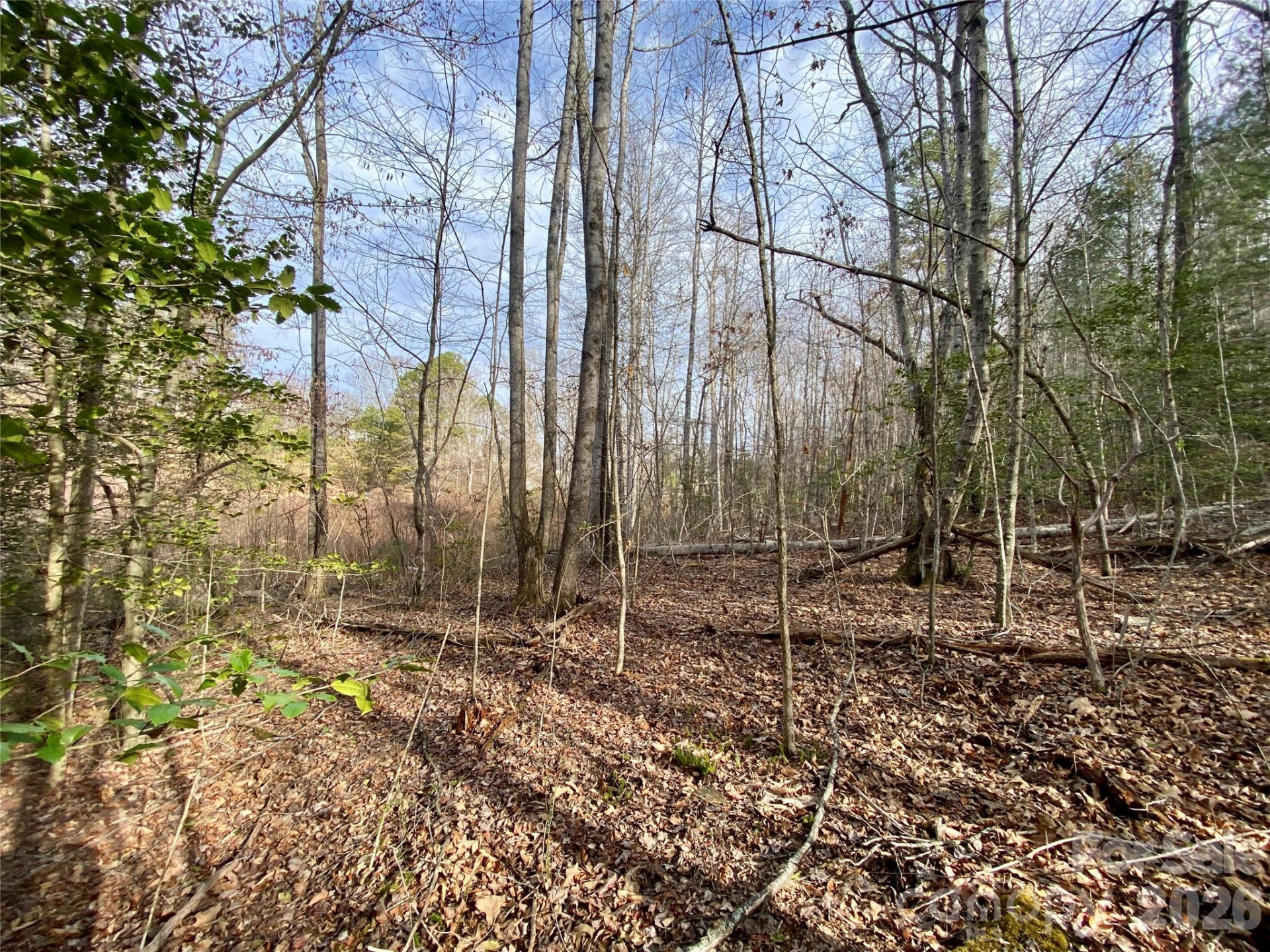 99999 Willow Creek Drive #2 - Photo 8