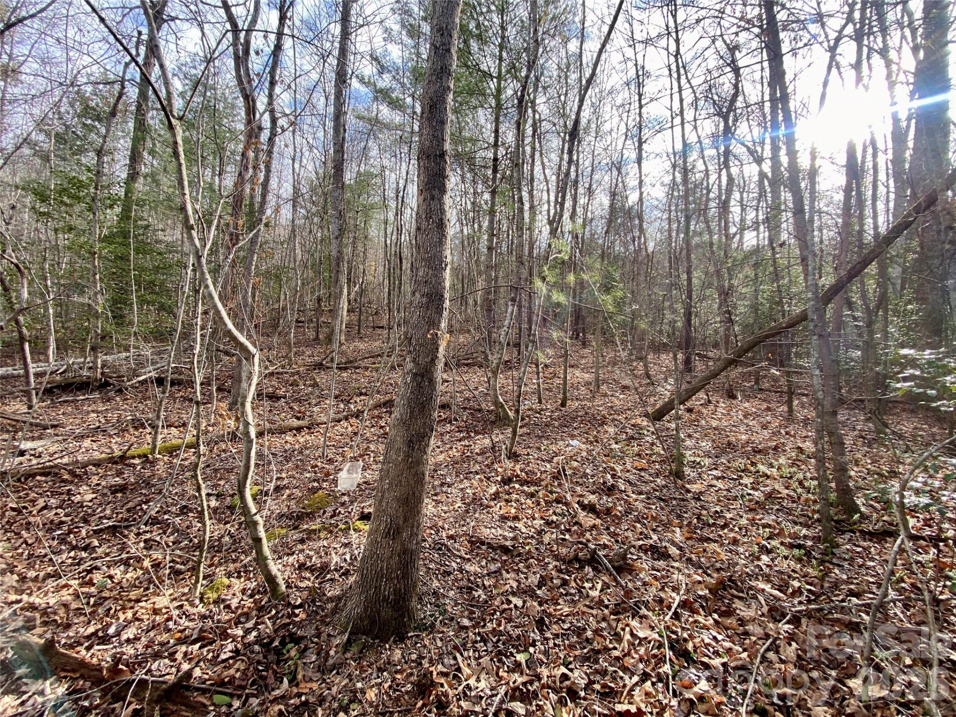 99999 Willow Creek Drive #2 - Photo 9