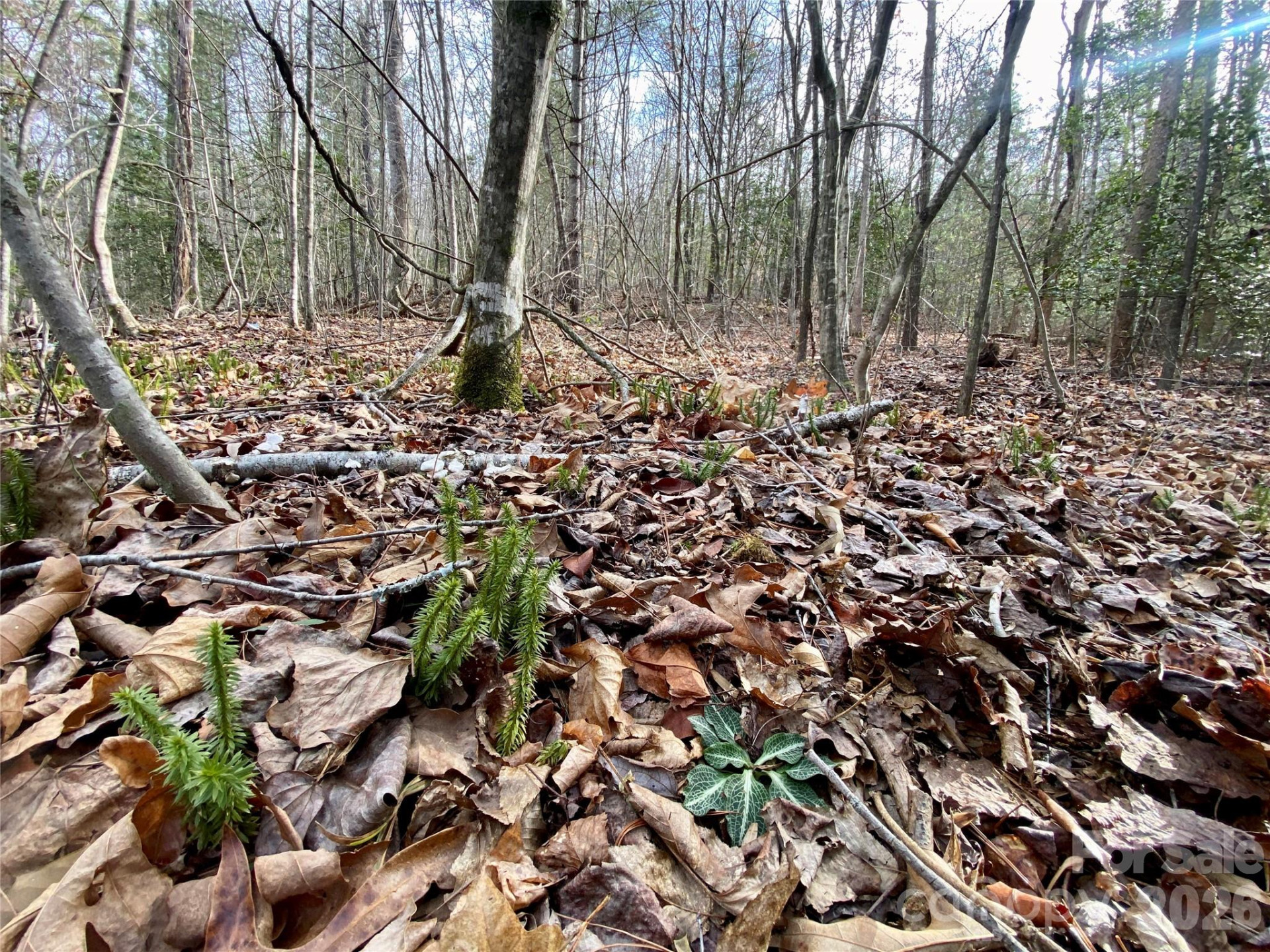 99999 Willow Creek Drive #2 - Photo 10