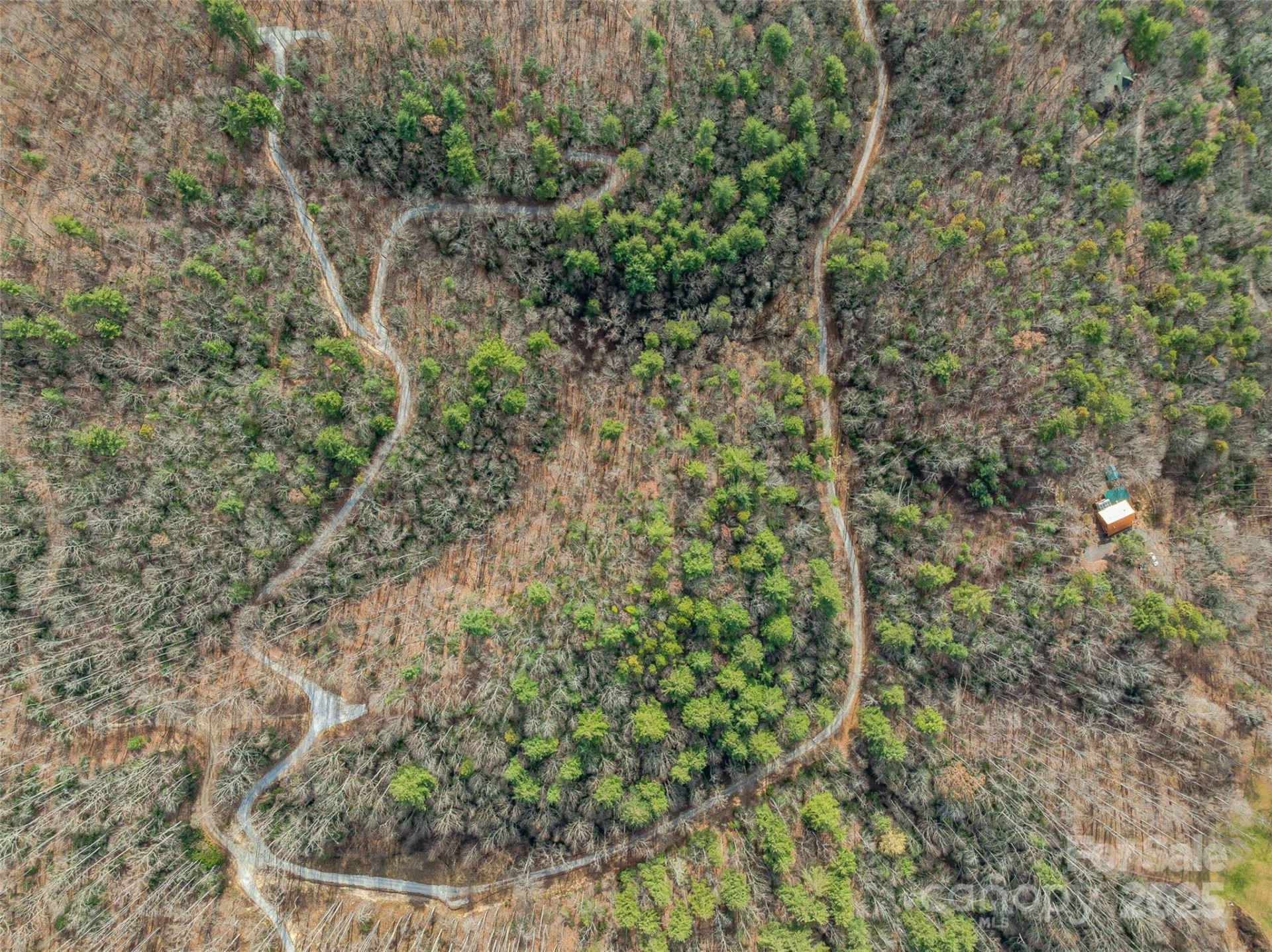 9999-16 Bob Barnwell Road - Photo 15