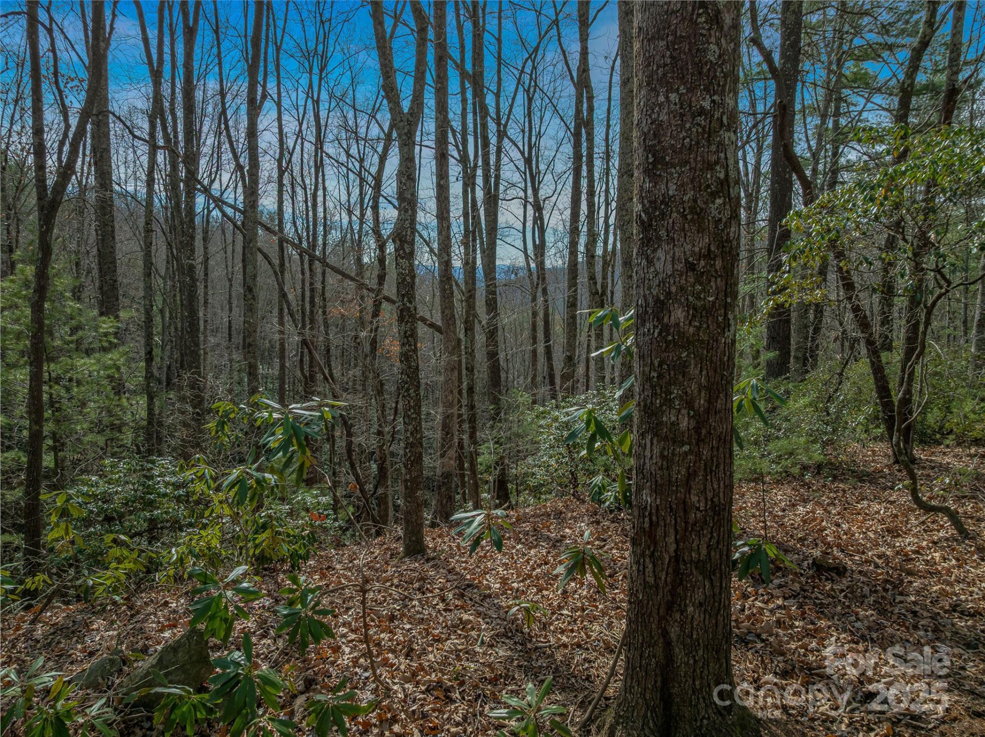 9999-16 Bob Barnwell Road - Photo 19