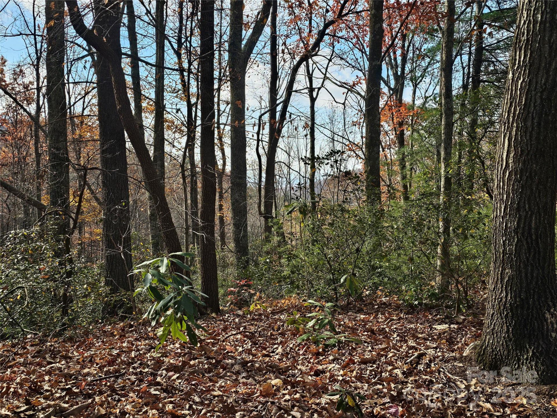 9999-16 Bob Barnwell Road - Photo 3