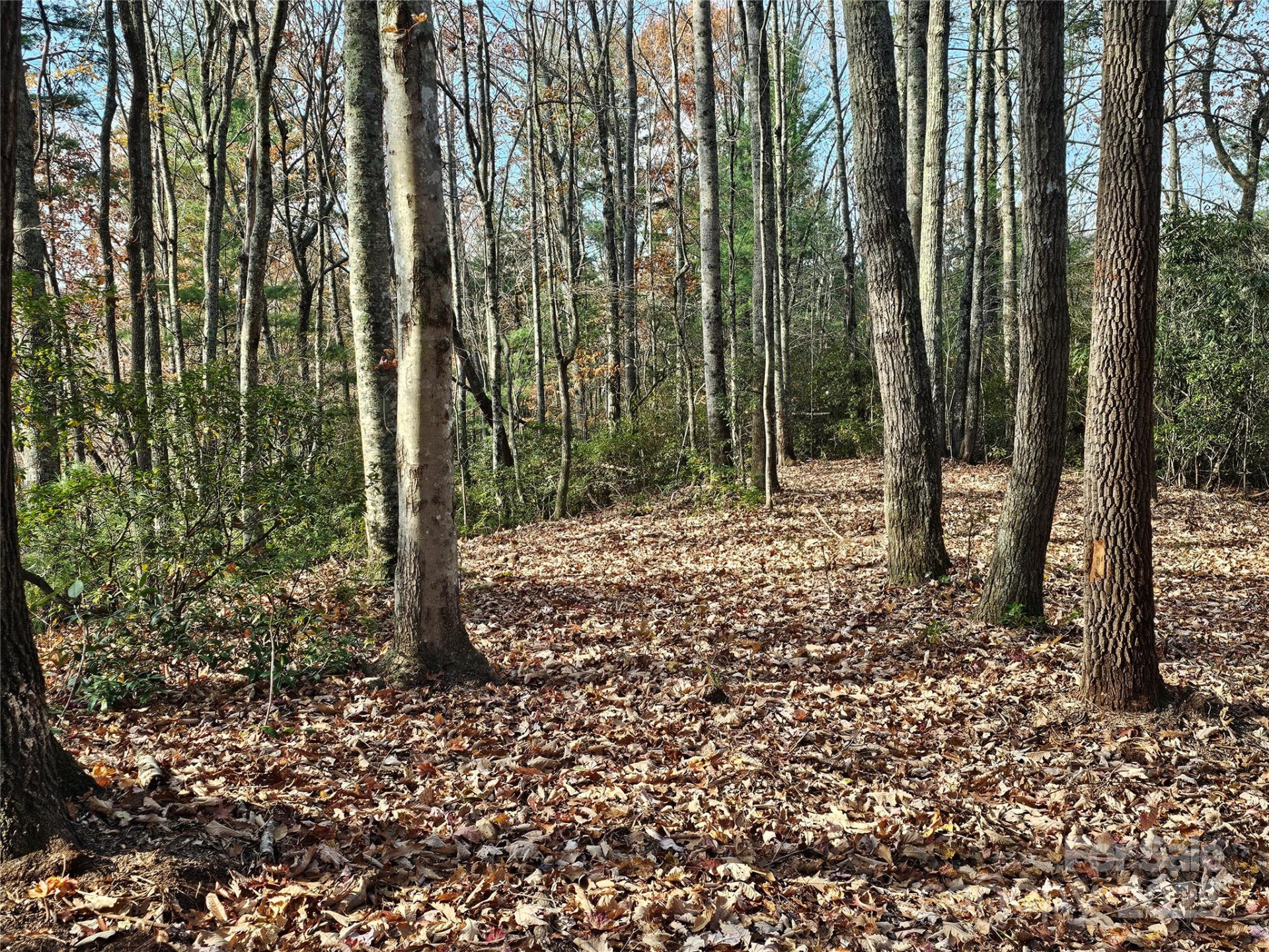 9999-16 Bob Barnwell Road - Photo 4