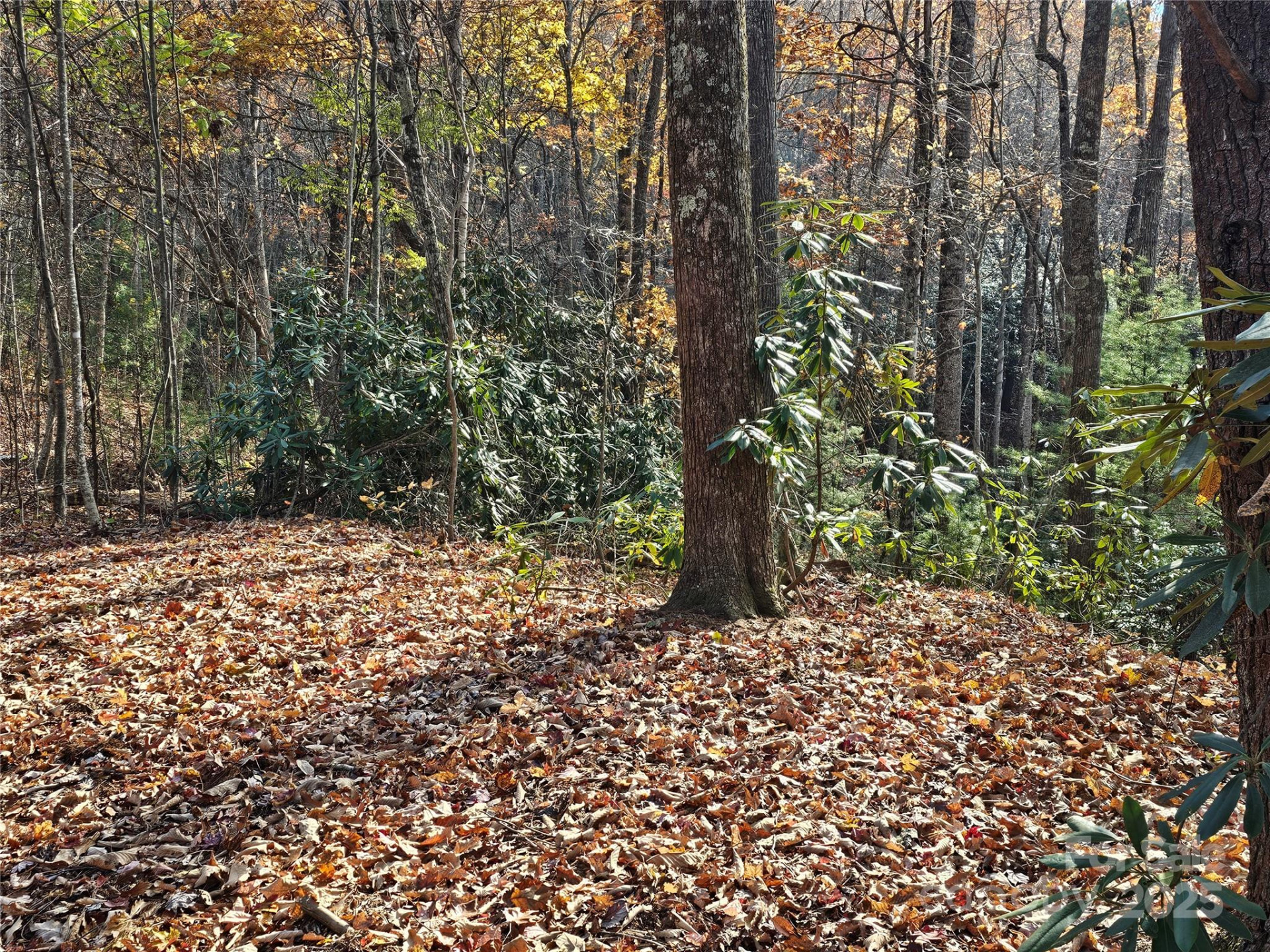 9999-16 Bob Barnwell Road - Photo 5