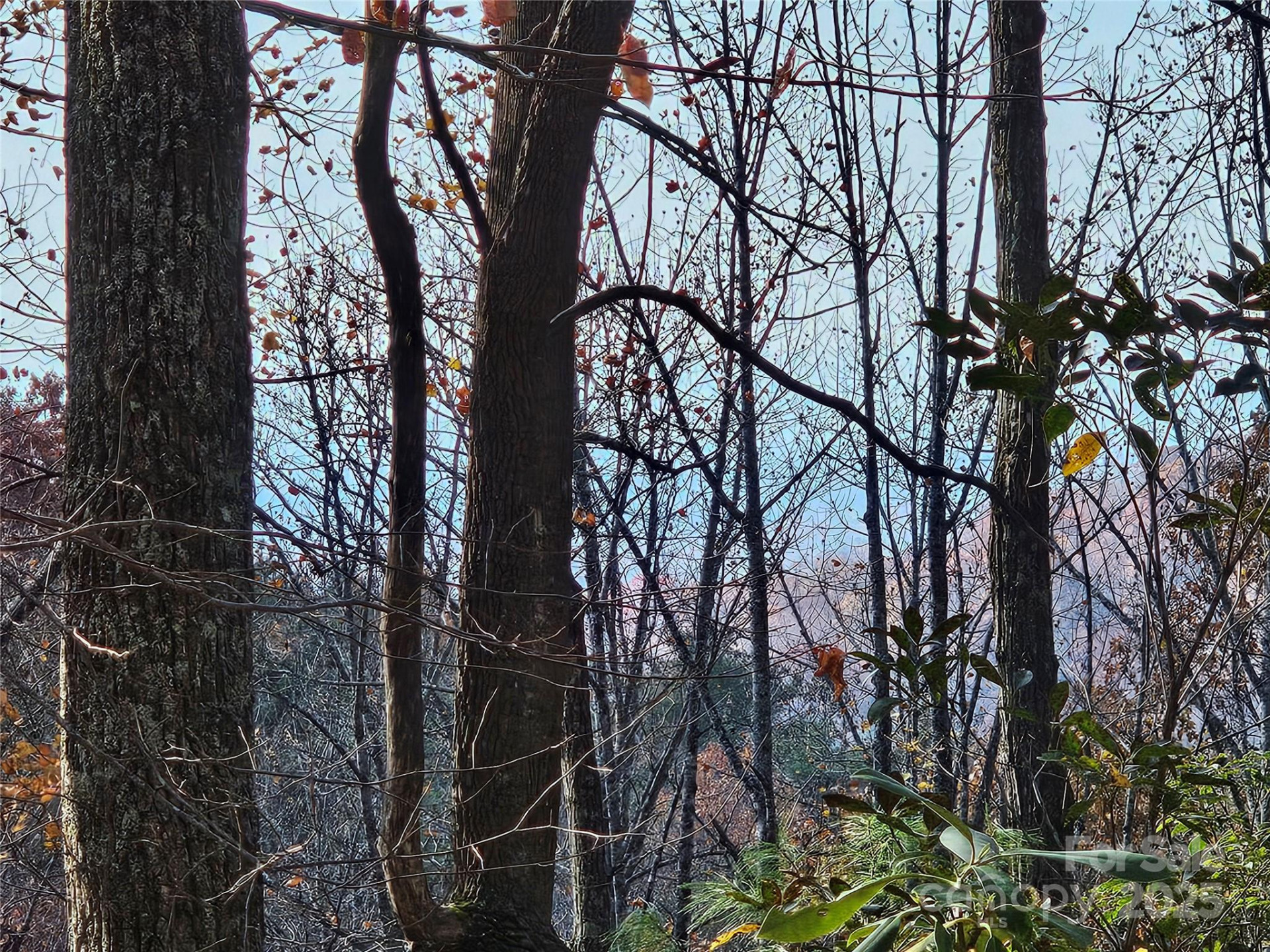 9999-16 Bob Barnwell Road - Photo 6