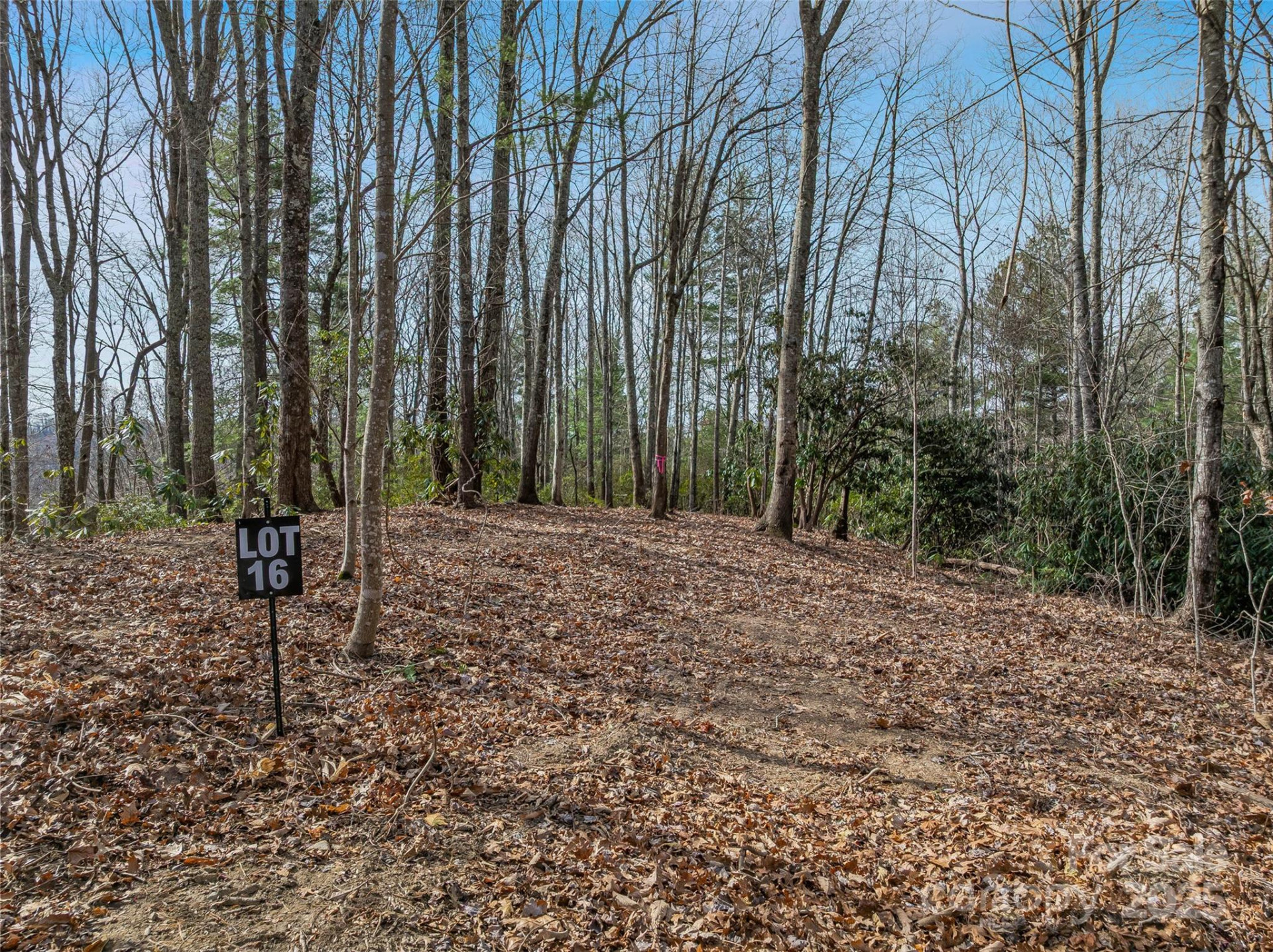 9999-16 Bob Barnwell Road - Photo 7