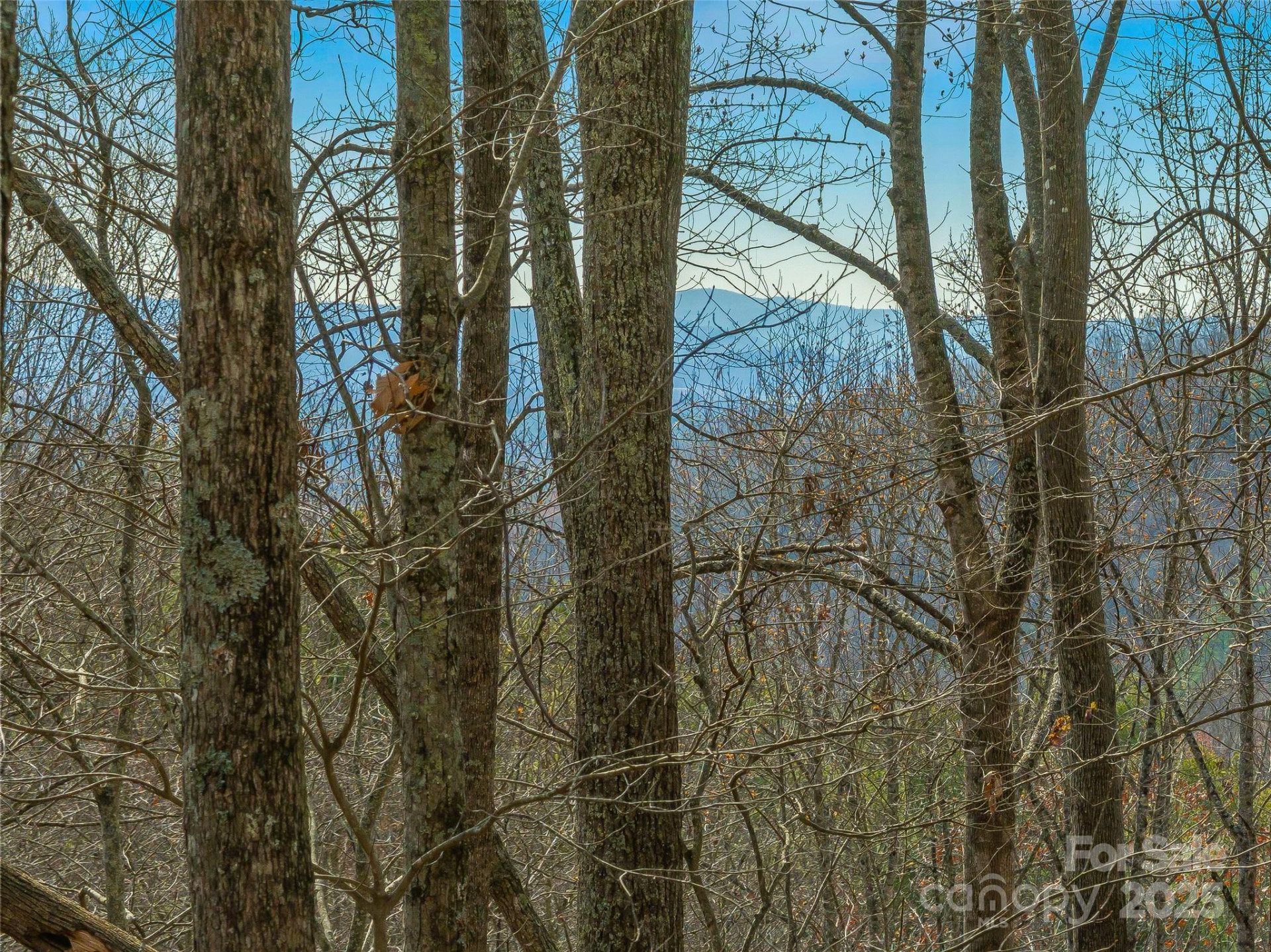 9999-16 Bob Barnwell Road - Photo 9