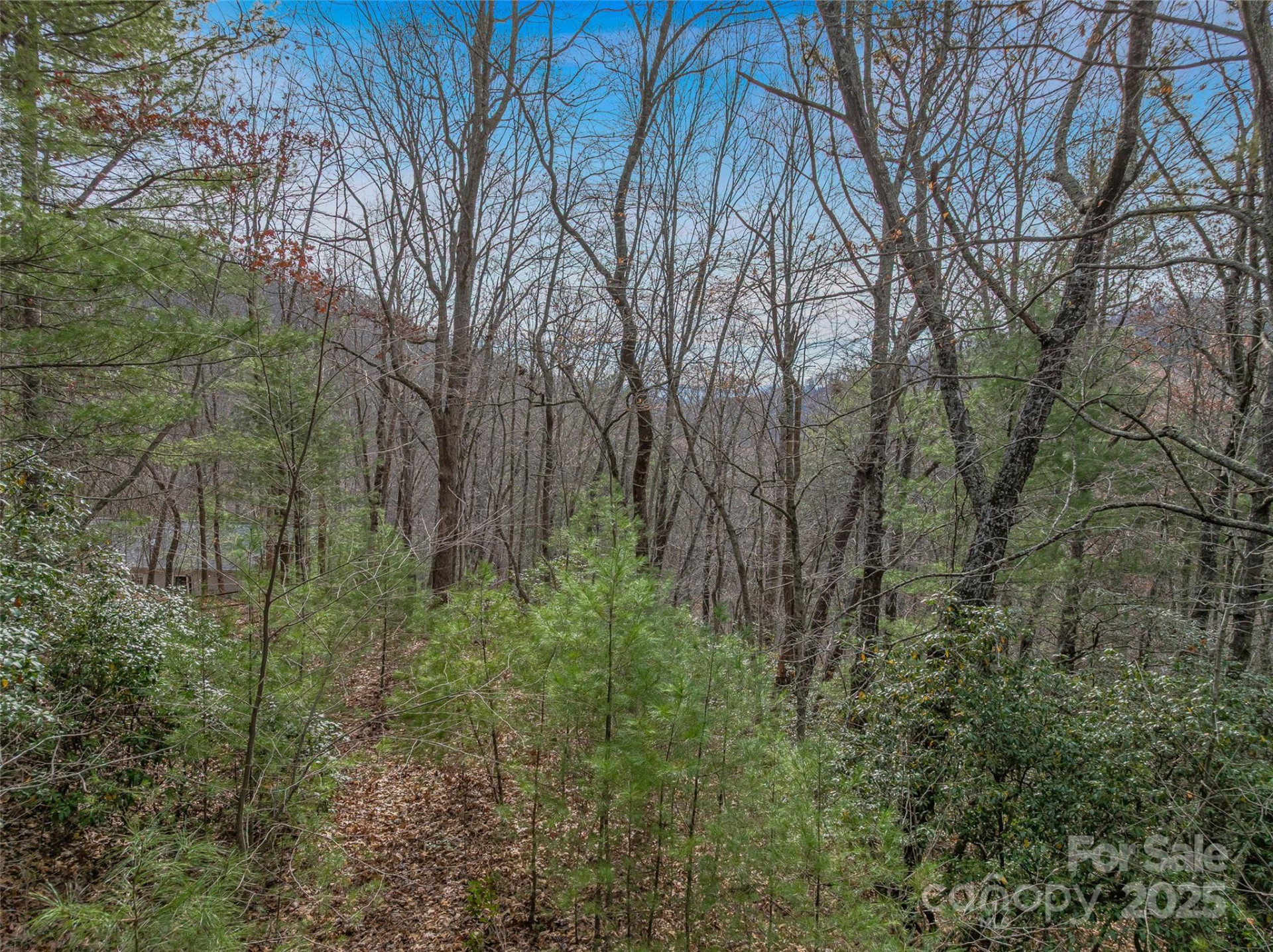 9999-17 Bob Barnwell Road - Photo 12