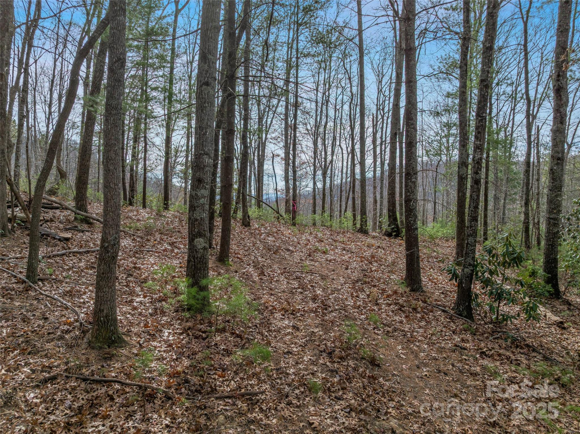 9999-17 Bob Barnwell Road - Photo 13