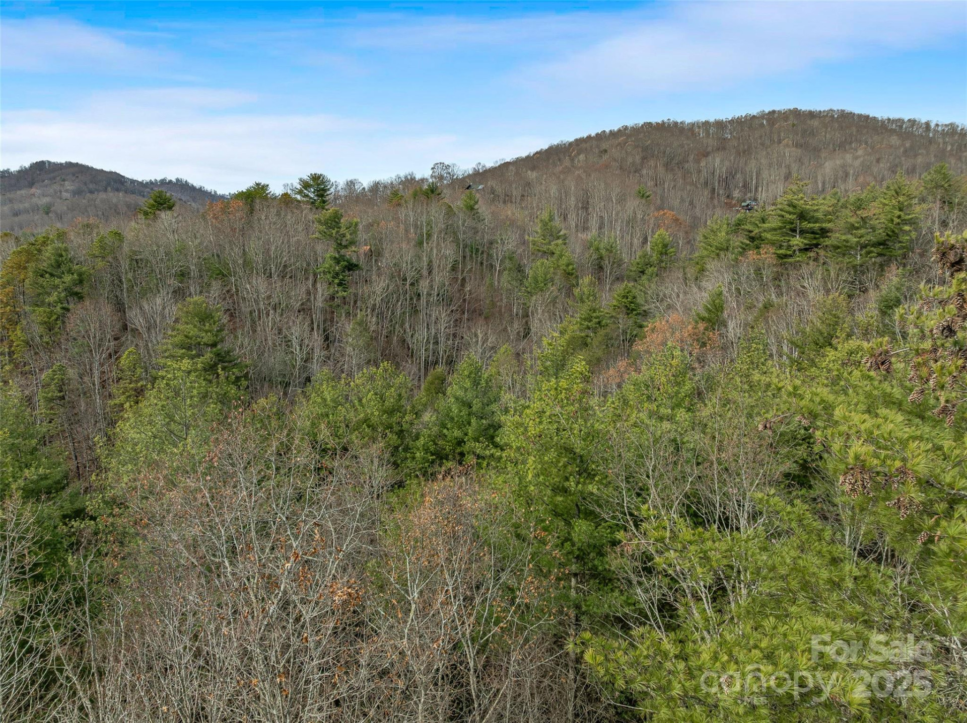 9999-17 Bob Barnwell Road - Photo 14