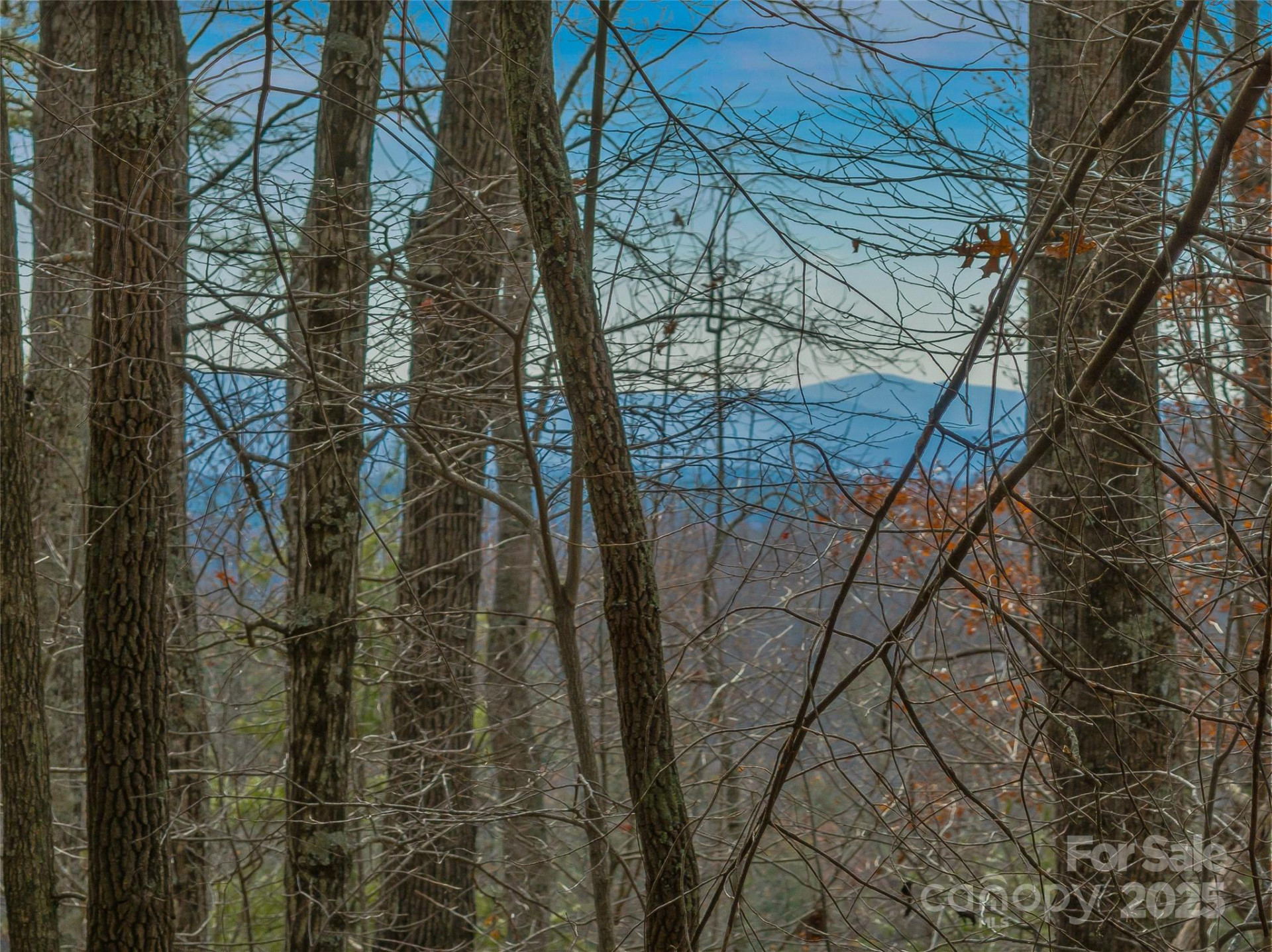 9999-17 Bob Barnwell Road - Photo 15