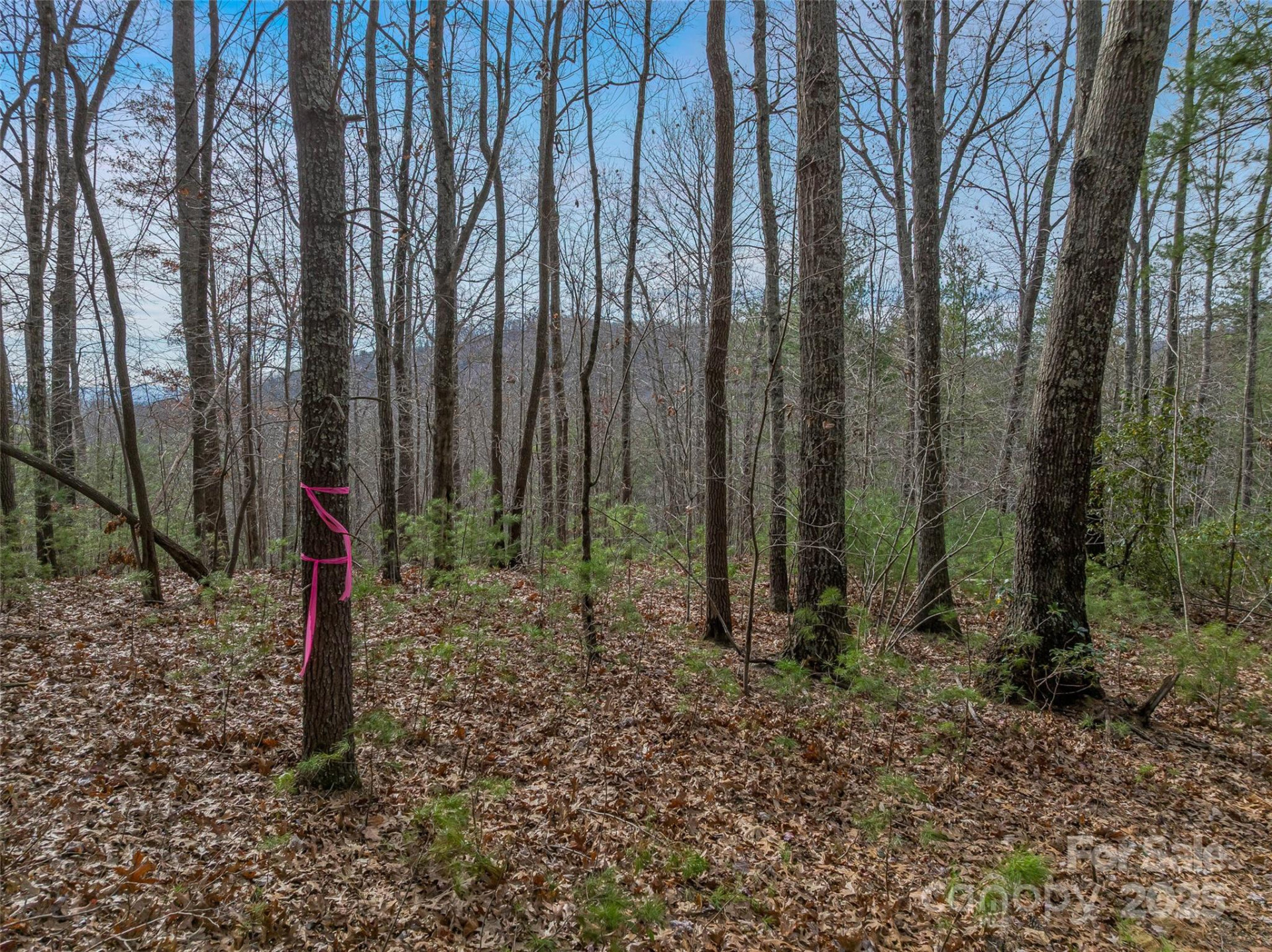 9999-17 Bob Barnwell Road - Photo 16