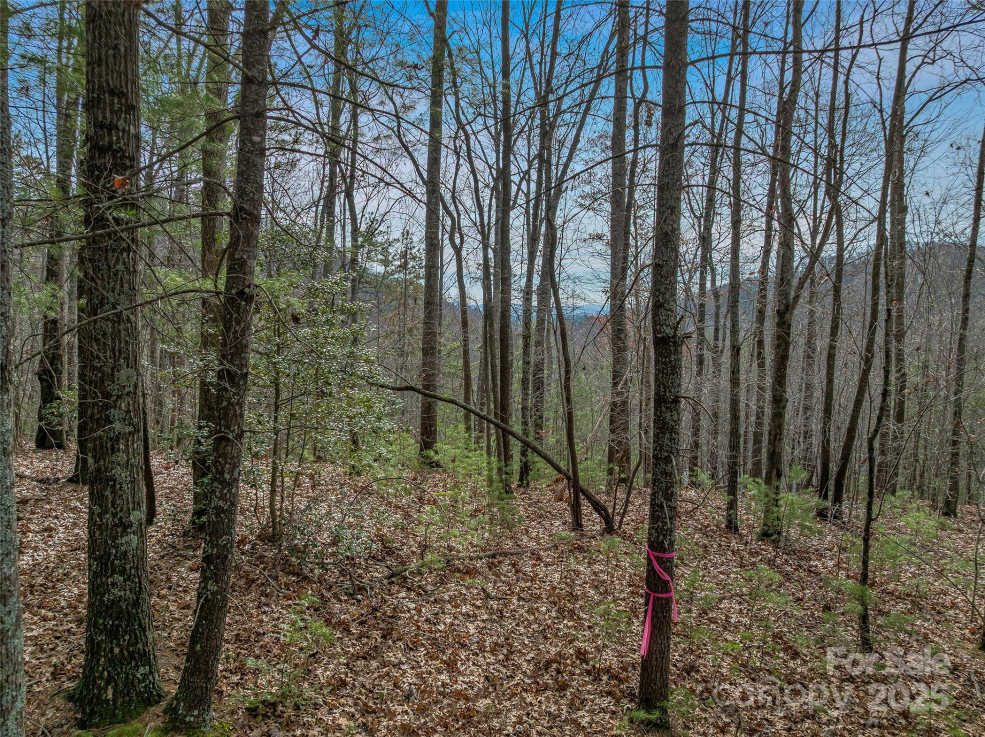 9999-17 Bob Barnwell Road - Photo 20