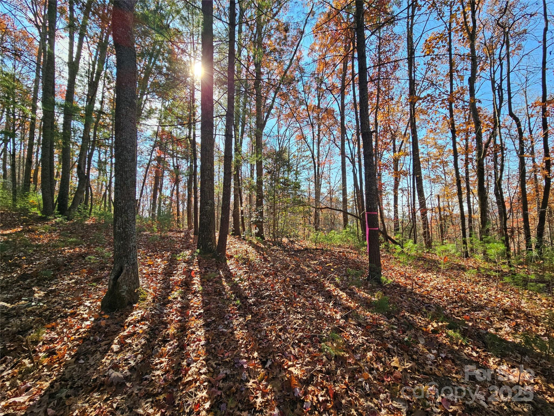 9999-17 Bob Barnwell Road - Photo 3