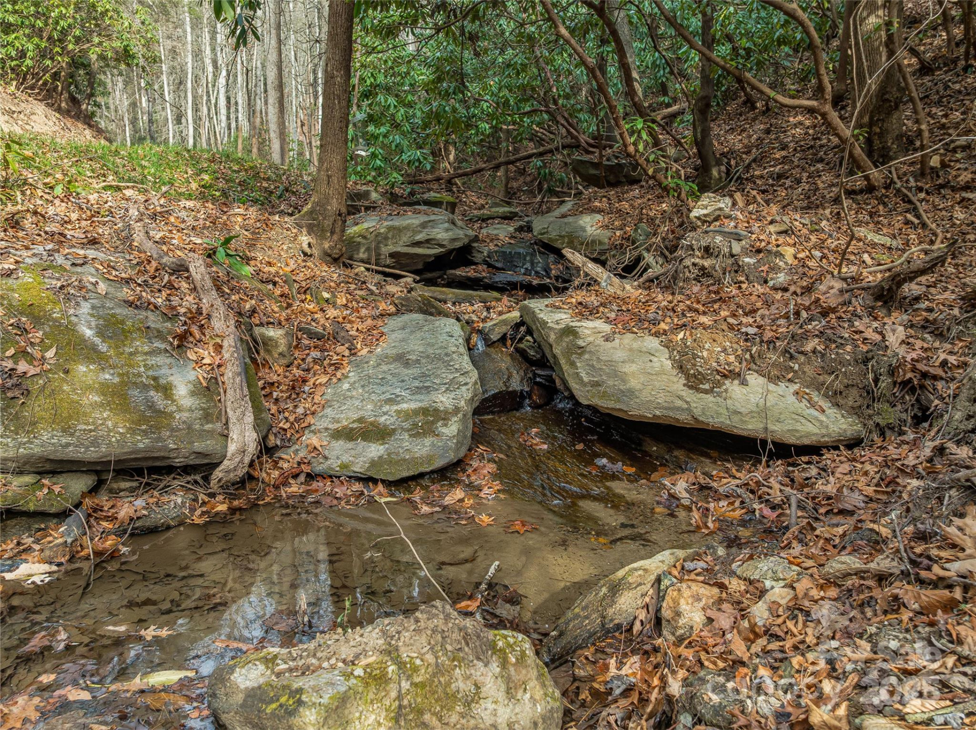 9999-17 Bob Barnwell Road - Photo 28