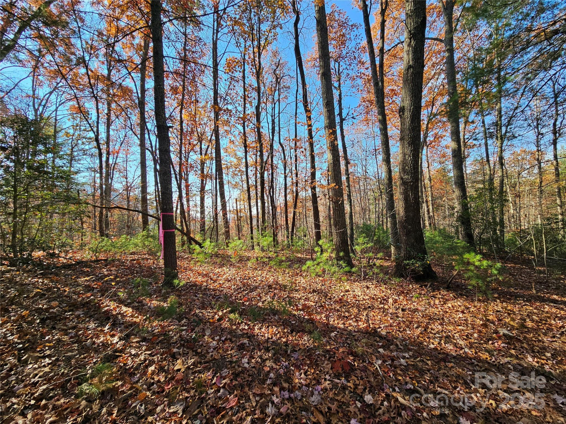 9999-17 Bob Barnwell Road - Photo 4