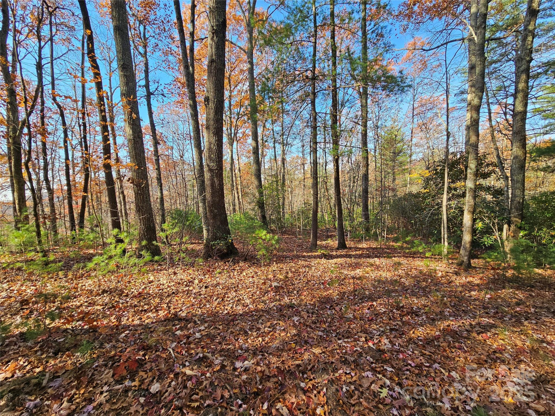 9999-17 Bob Barnwell Road - Photo 5