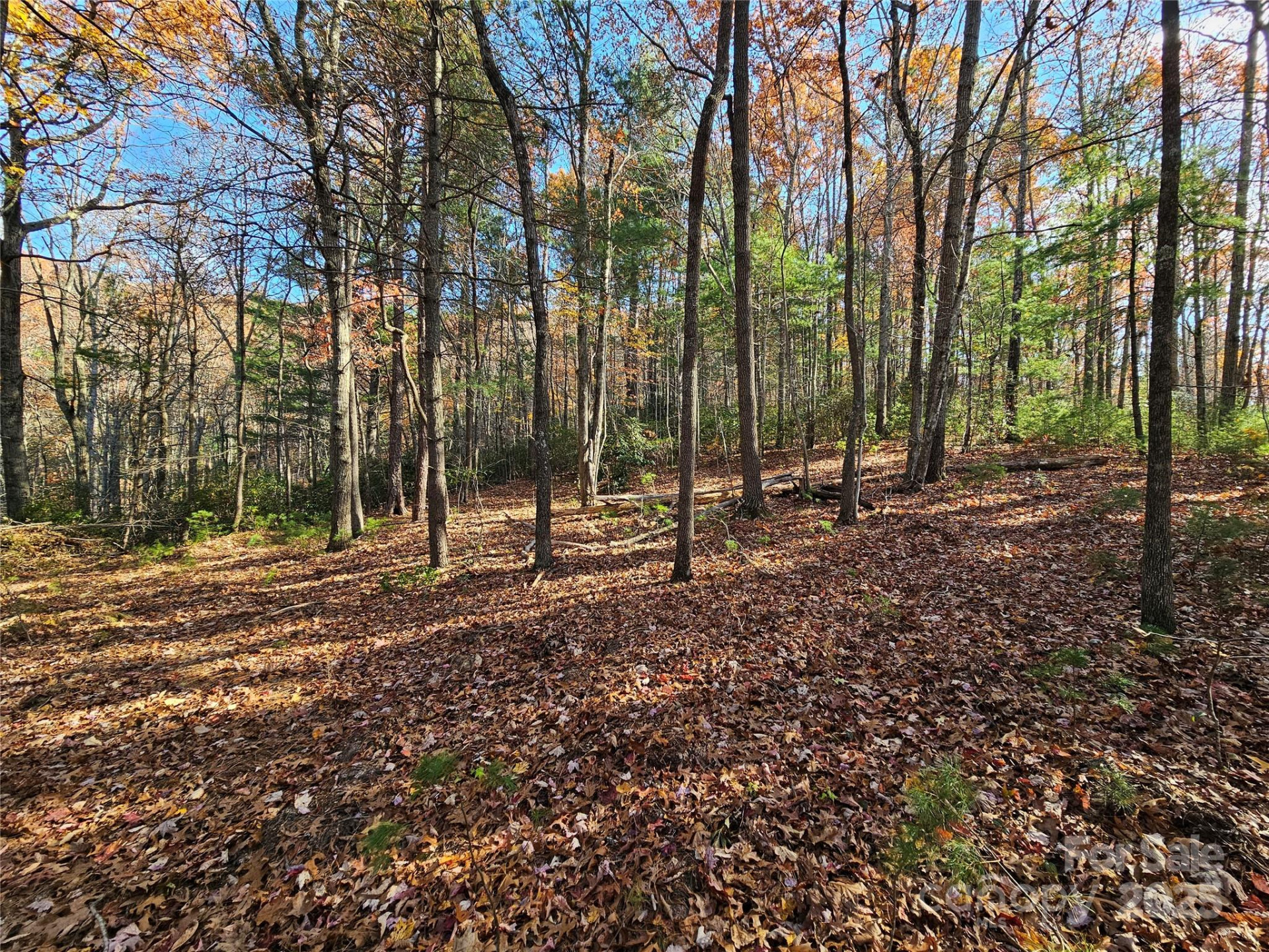 9999-17 Bob Barnwell Road - Photo 6